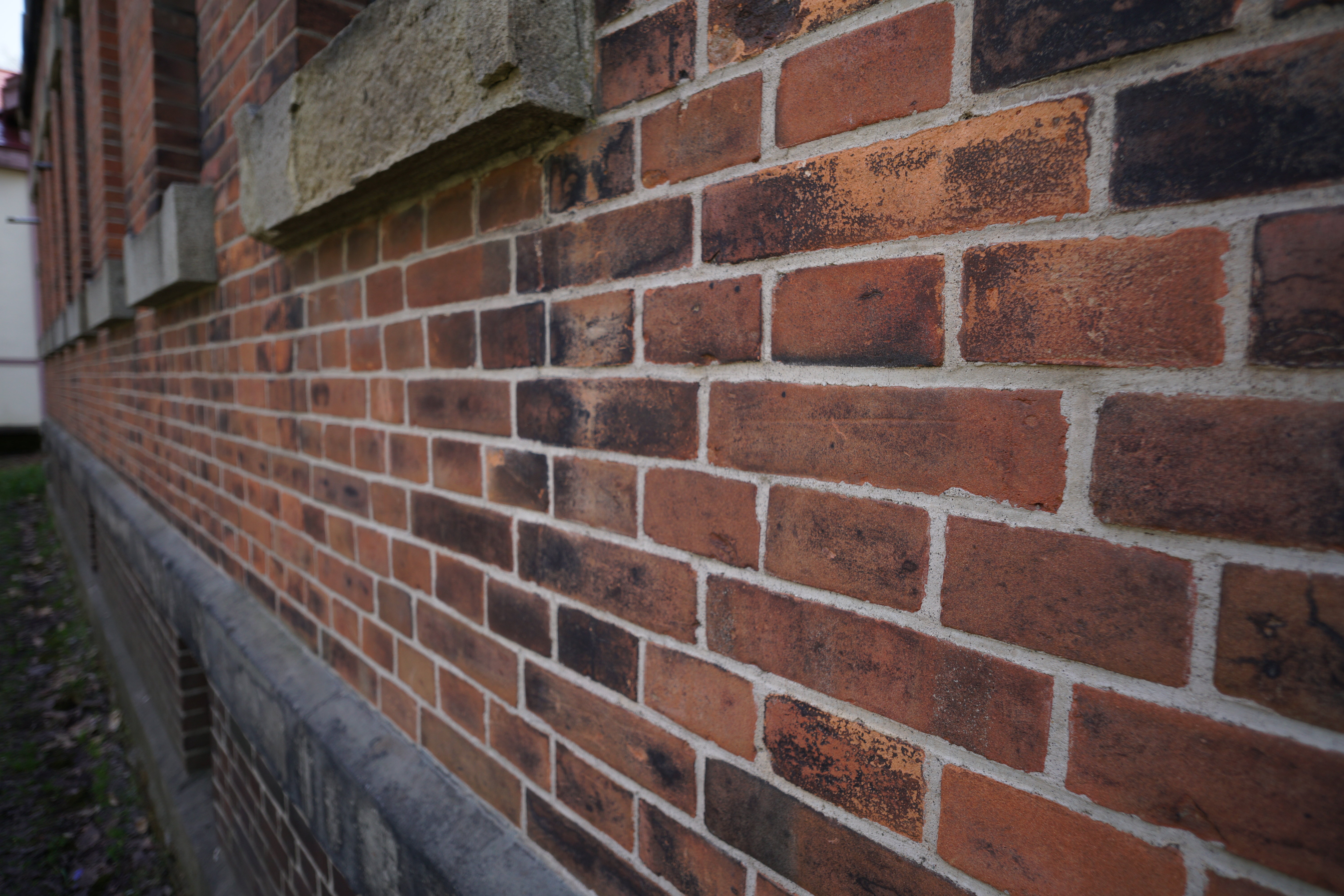 Touit 2.8/12 / 1/200秒 / F2.8 / +0.3EV / ISO100 / 絞り優先AE / 12mm