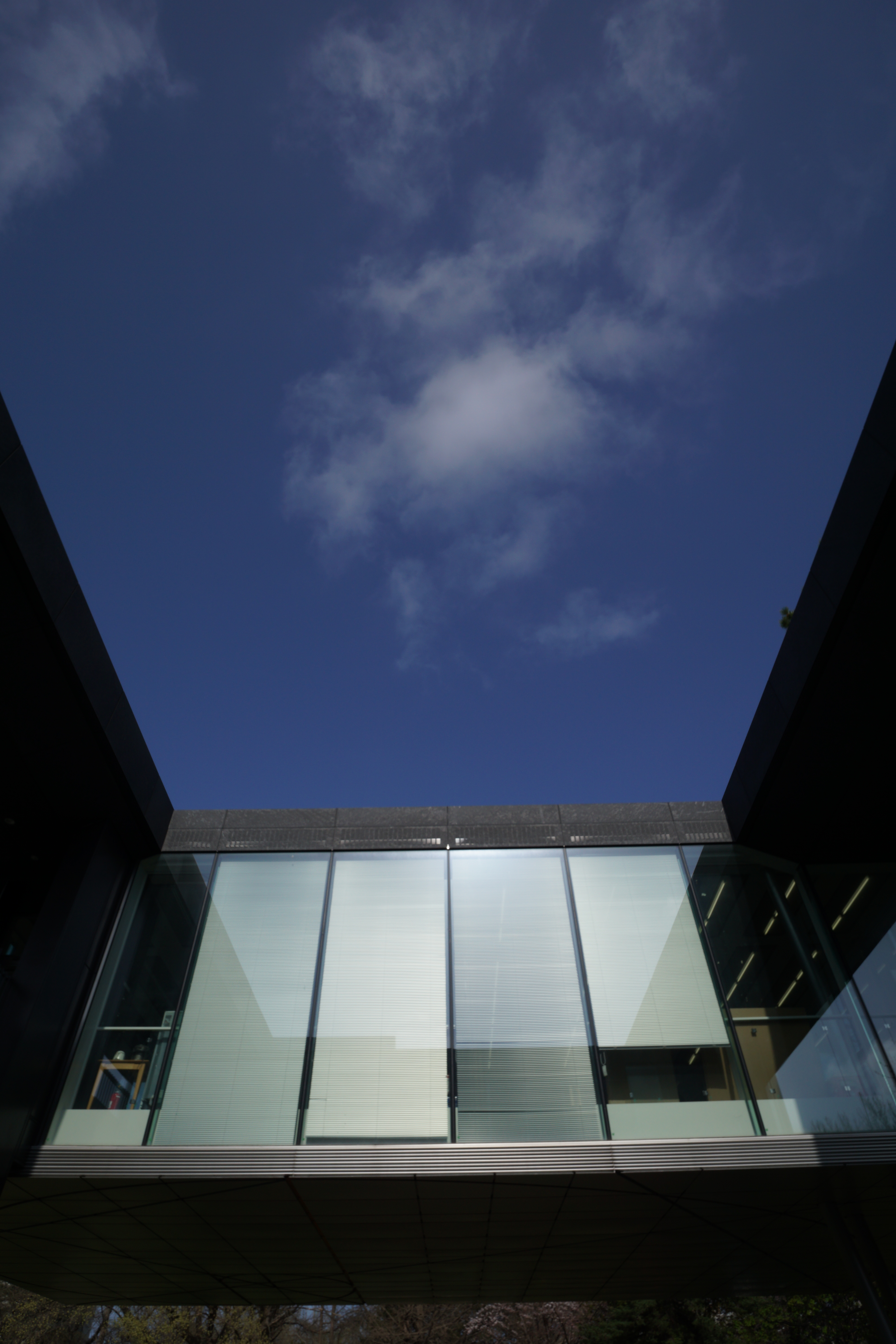 Touit 2.8/12 / 1/800秒 / F8 / -0.3EV / ISO100 / 絞り優先AE / 12mm