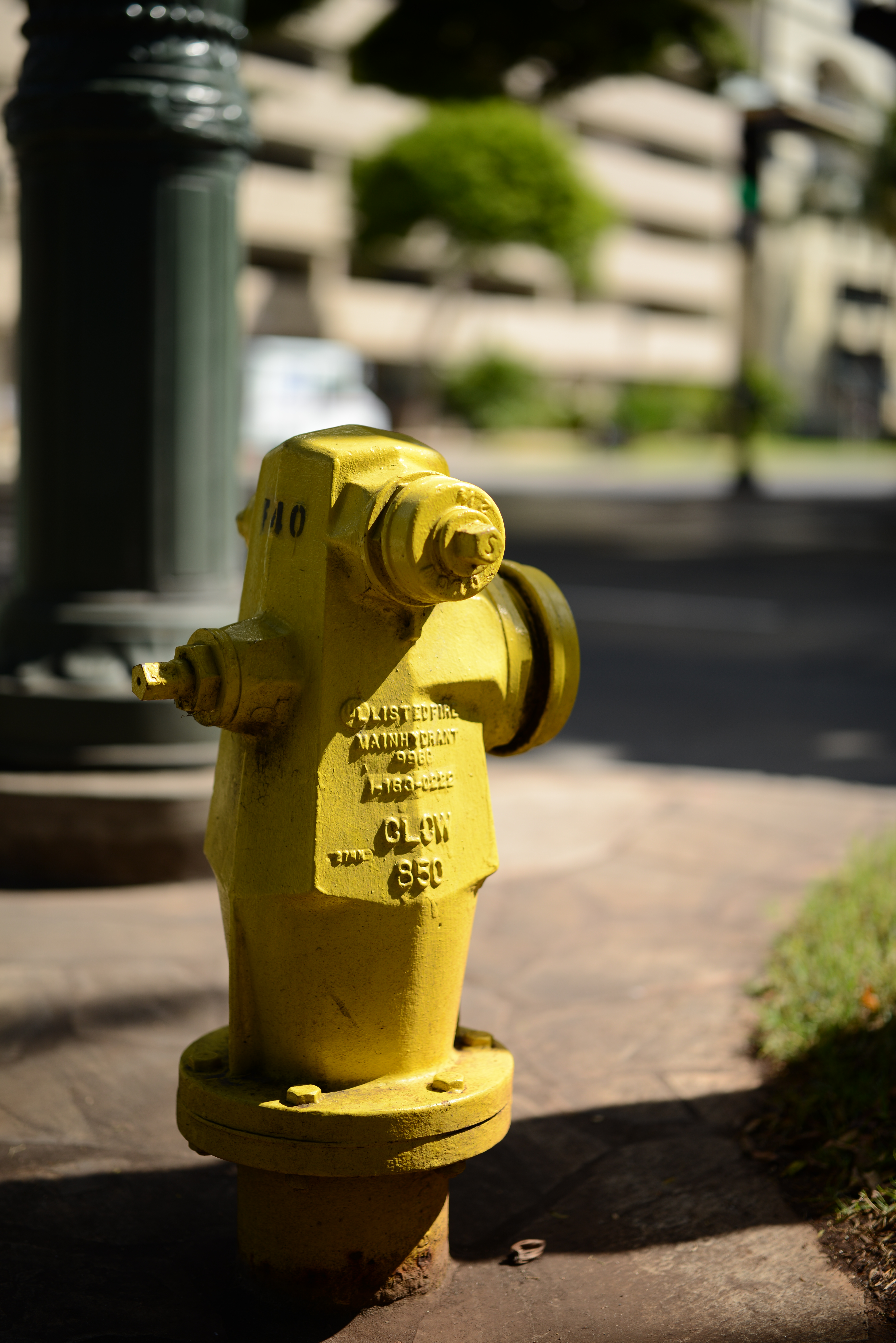 絞り開放・距離数mで撮影。2mほど離れておしゃれな消火栓を撮影。被写体と適度な距離があっても十分なボケを得られるのでポートレート撮影では圧倒的なボケを期待できる。D800E / 1/3,200秒 / F1.4 / +0.3EV / ISO100 / 絞り優先AE / 55mm