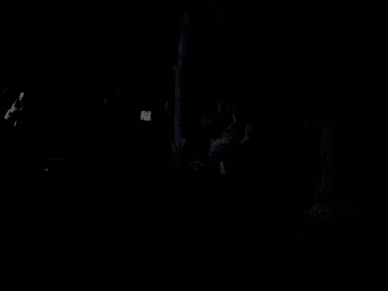 α7Sの高感度体験コーナー。肉眼ではほとんどなにも見えない明るさだが、実はトラのぬいぐるみが置いてある（左）。その場所でも撮影ができる（右）