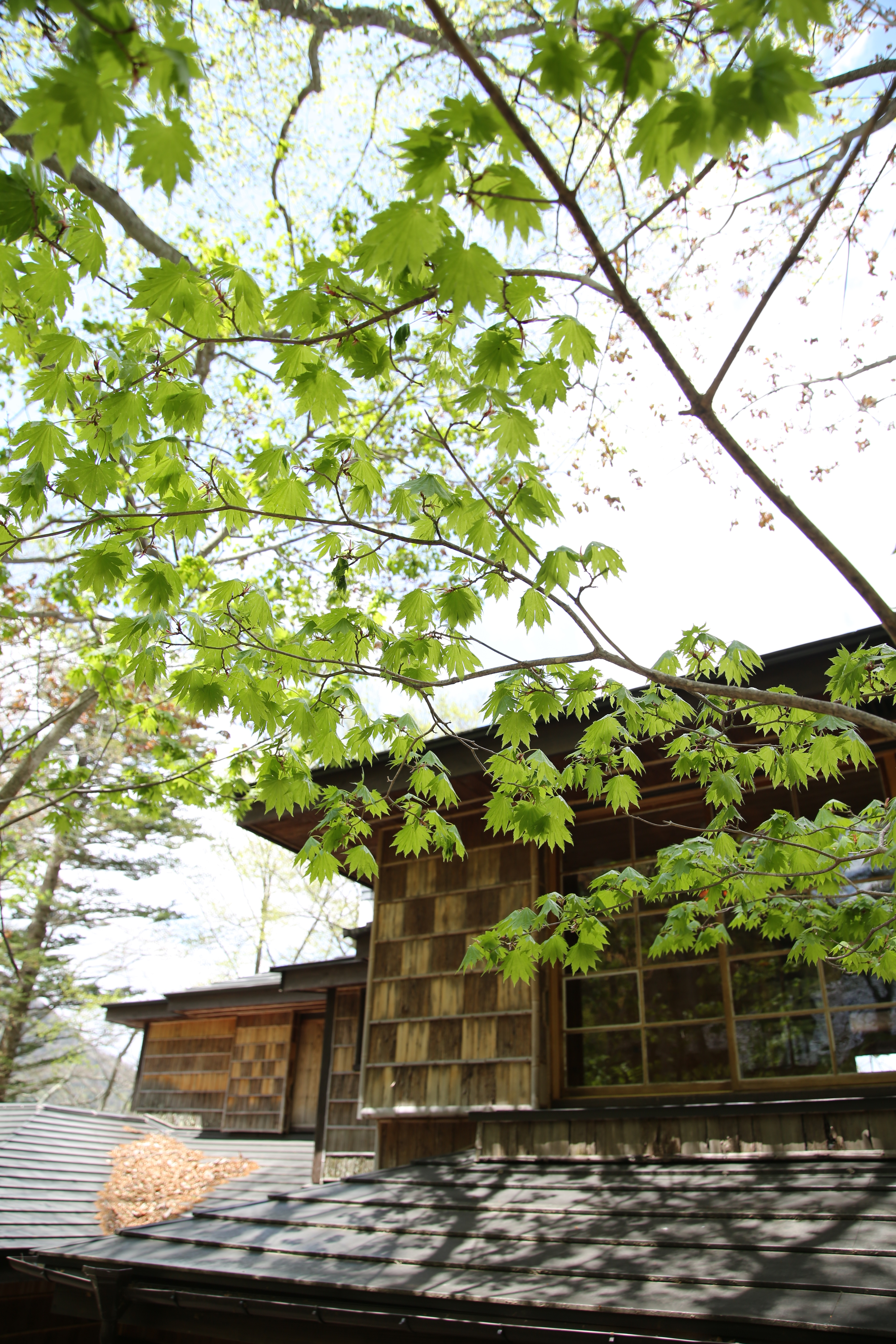 絞りF5.6・距離数mで撮影。EOS 5D Mark III / 1/100秒 / F5.6 / +1.3EV / ISO100 / 24mm