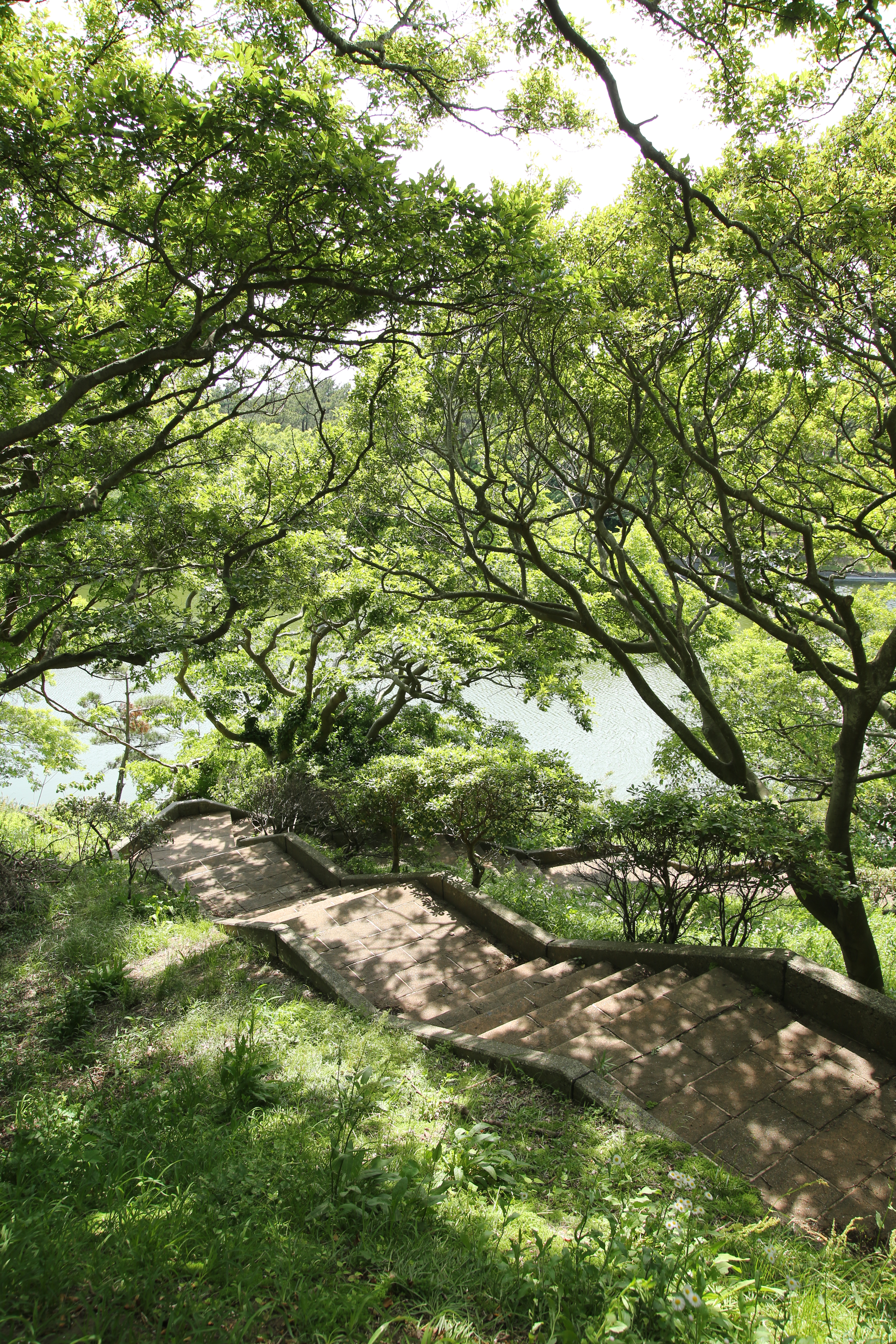 絞りF8・距離数mで撮影。EOS 5D Mark III / 1/60秒 / F8 / +0.7EV / ISO100 / 24mm