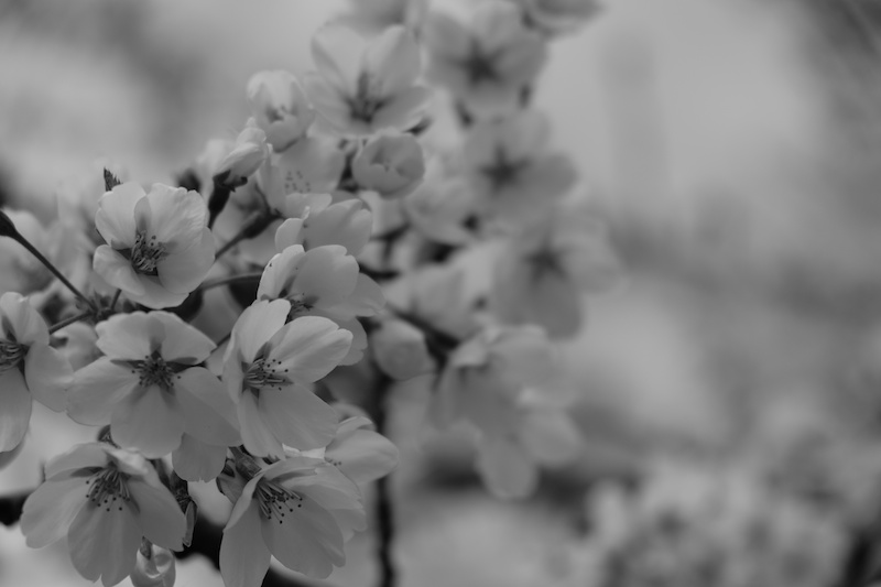 マイナスに露出補正