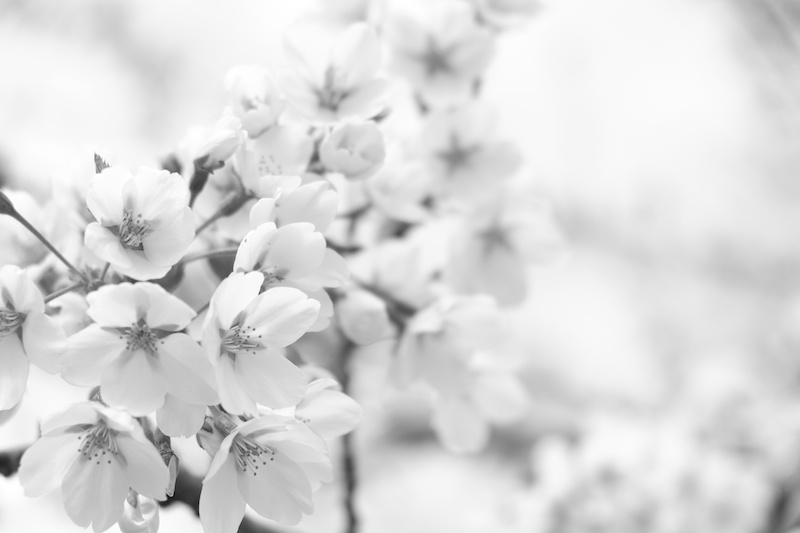 プラスに露出補正