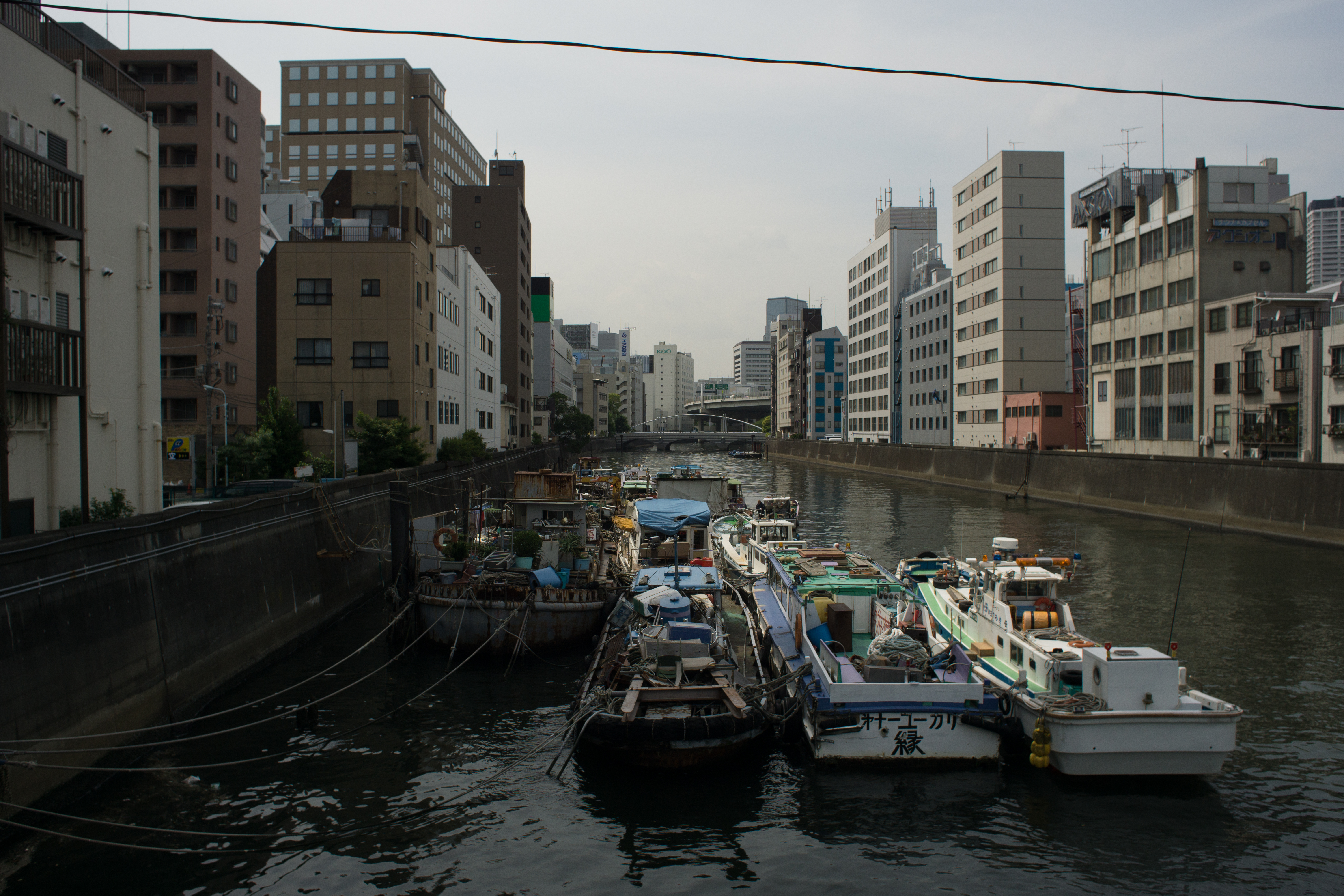 α6000 / Distagon T* 25mm F2.8 / 6,000×4,000 / 1/2,500秒 / F8 / -0.7EV / ISO200 / WB:オート / 25mm