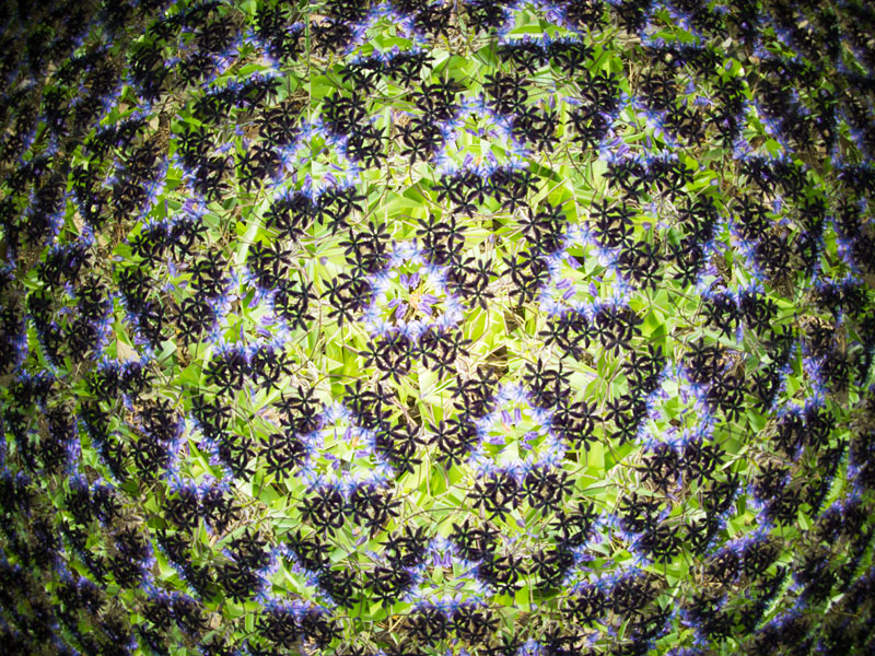 フィッシュアイボディーキャップレンズ+OLYMPUS PEN E-P5。画角が広がったおかげでパターンの数が増え、周辺に行くほど歪んで小さくなる