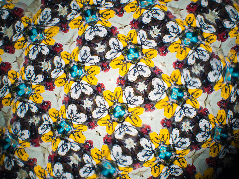 テレイドスコープでは大きなものを撮影することができる。さて、これは何を撮影したものでしょう? OLYMPUS PEN E-P5、M.ZUIKO DIGITAL 17mm F1.8