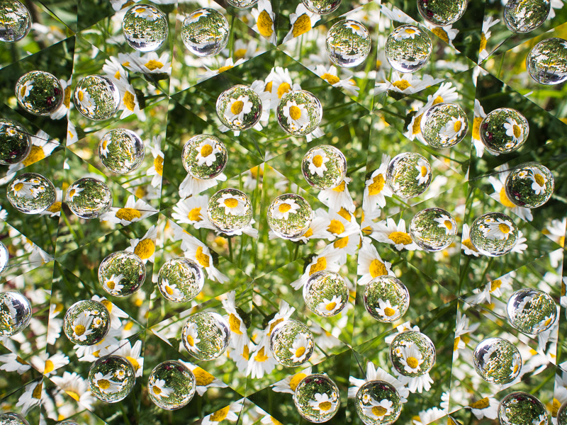 玉の中は広角レンズで写しているようなものなので、被写体は小さくなり歪む。オリンパス PEN E-P5、M.ZUIKO DIGITAL 17mm F1.8