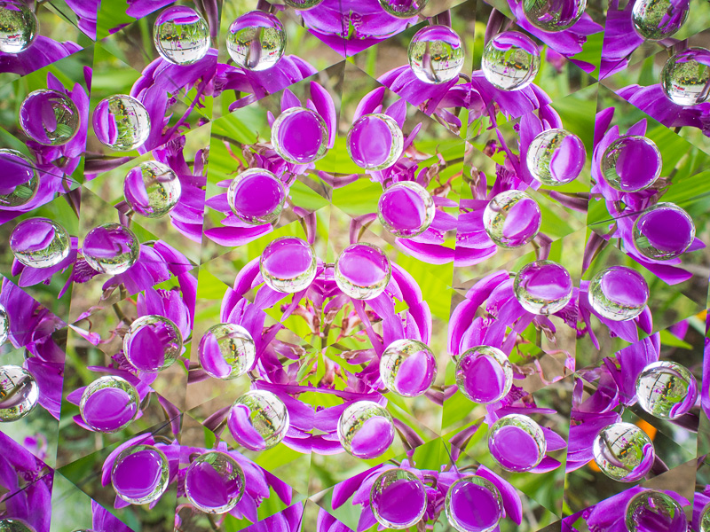 これも宙玉同様、玉の内側と外側のバランスを考えながら撮影するといいようだ。オリンパス PEN E-P5、M.ZUIKO DIGITAL 17mm F1.8