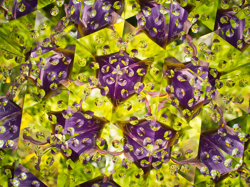 水滴のように写っているのが、接着剤の雫。よくみるといびつなので、よく見ないでください（笑）。オリンパス PEN E-P5、M.ZUIKO DIGITAL 17mm F1.8