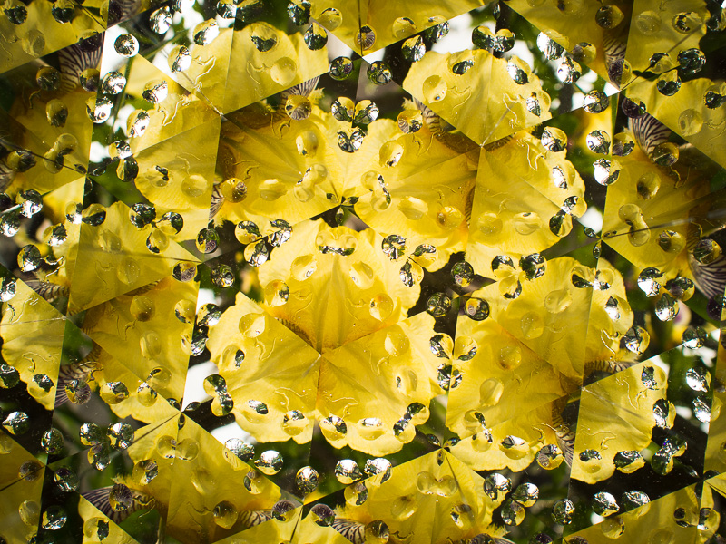 雫付きのアクリル板を回転させると、雫の配置も変わる。同じ被写体でも、たまに回転させながら撮影するといい。OLYMPUS PEN E-P5、M.ZUIKO DIGITAL 17mm F1.8