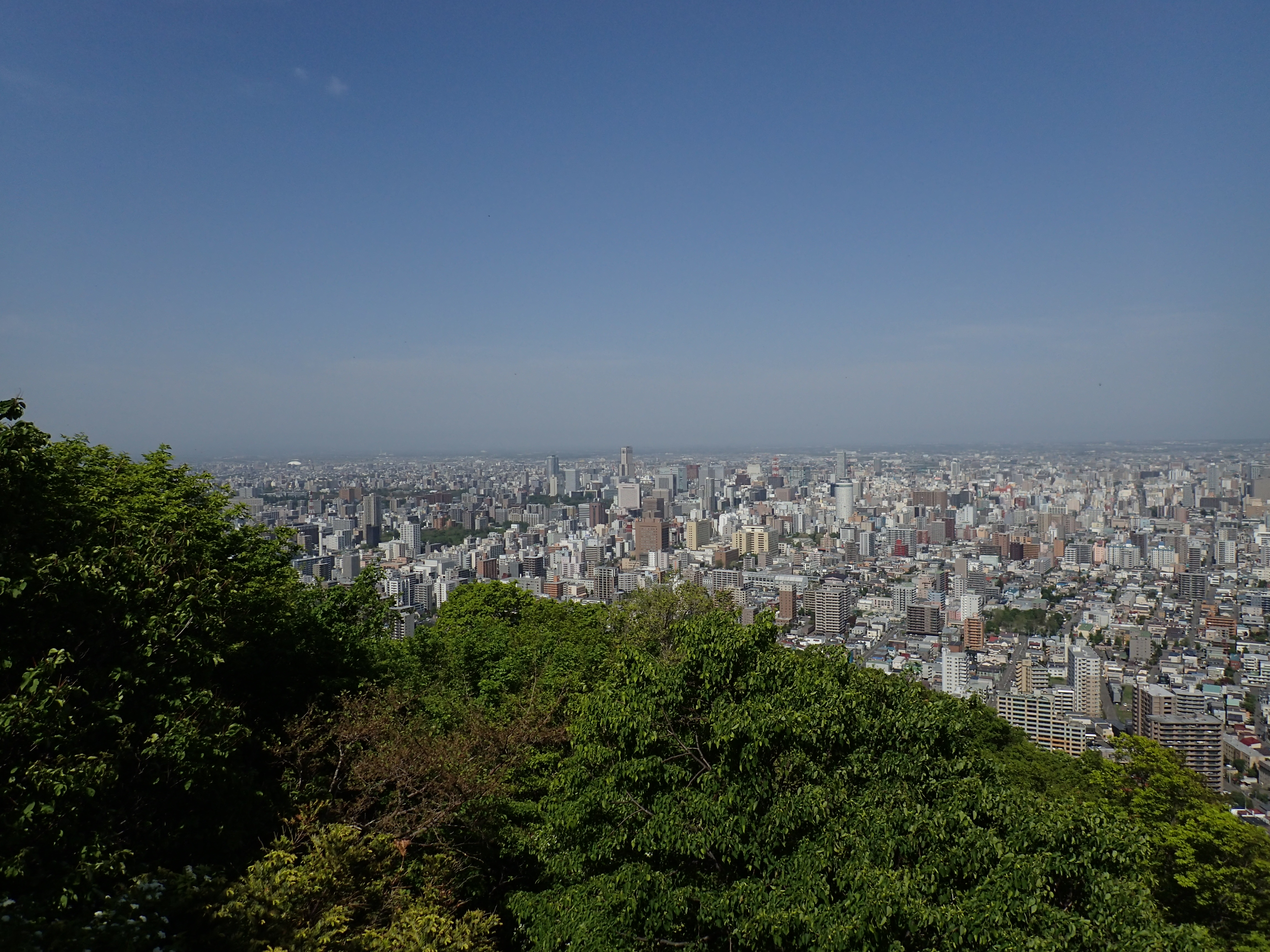 光学ズーム：1倍（25mm相当）