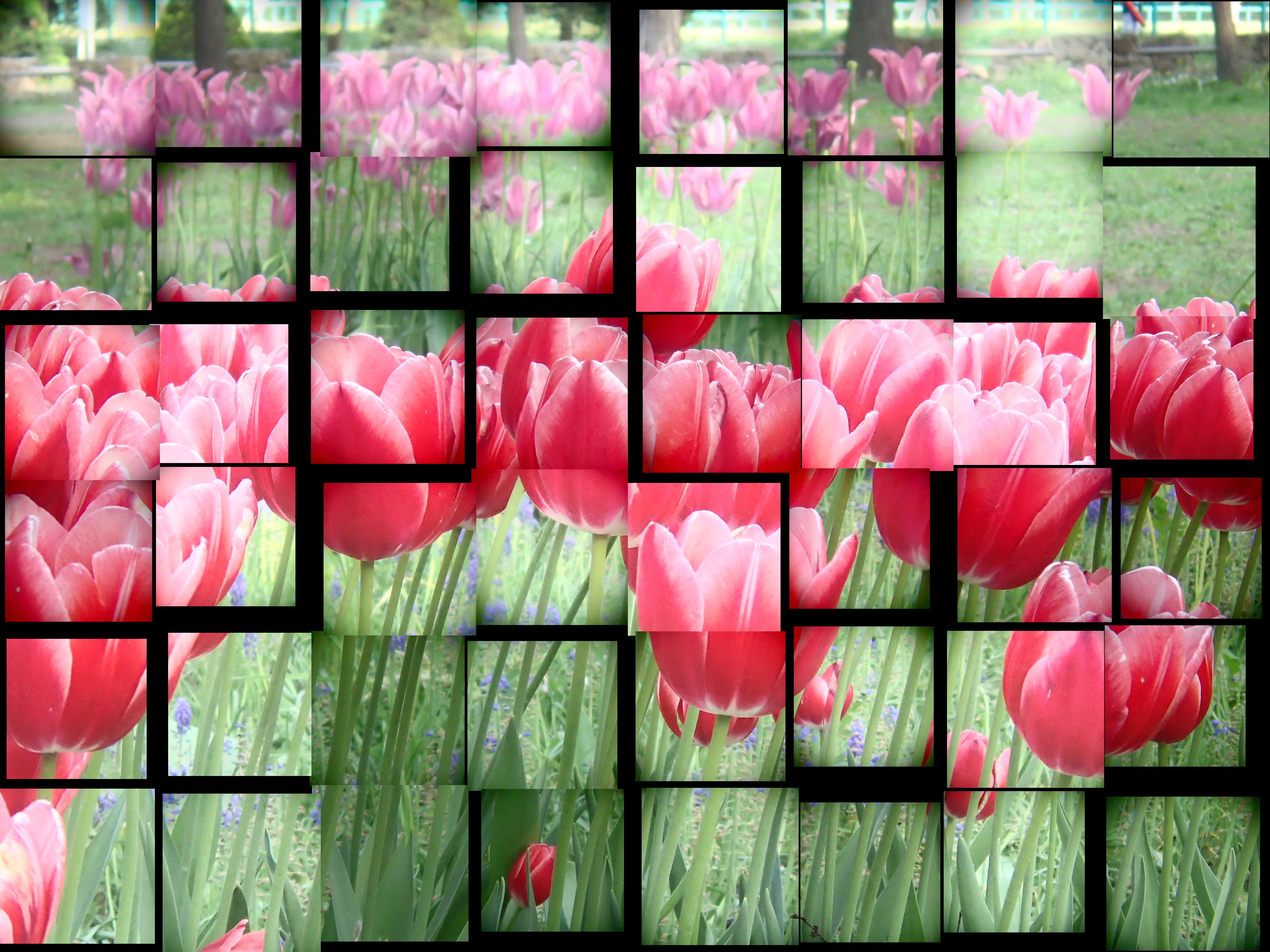 ランダムタイル