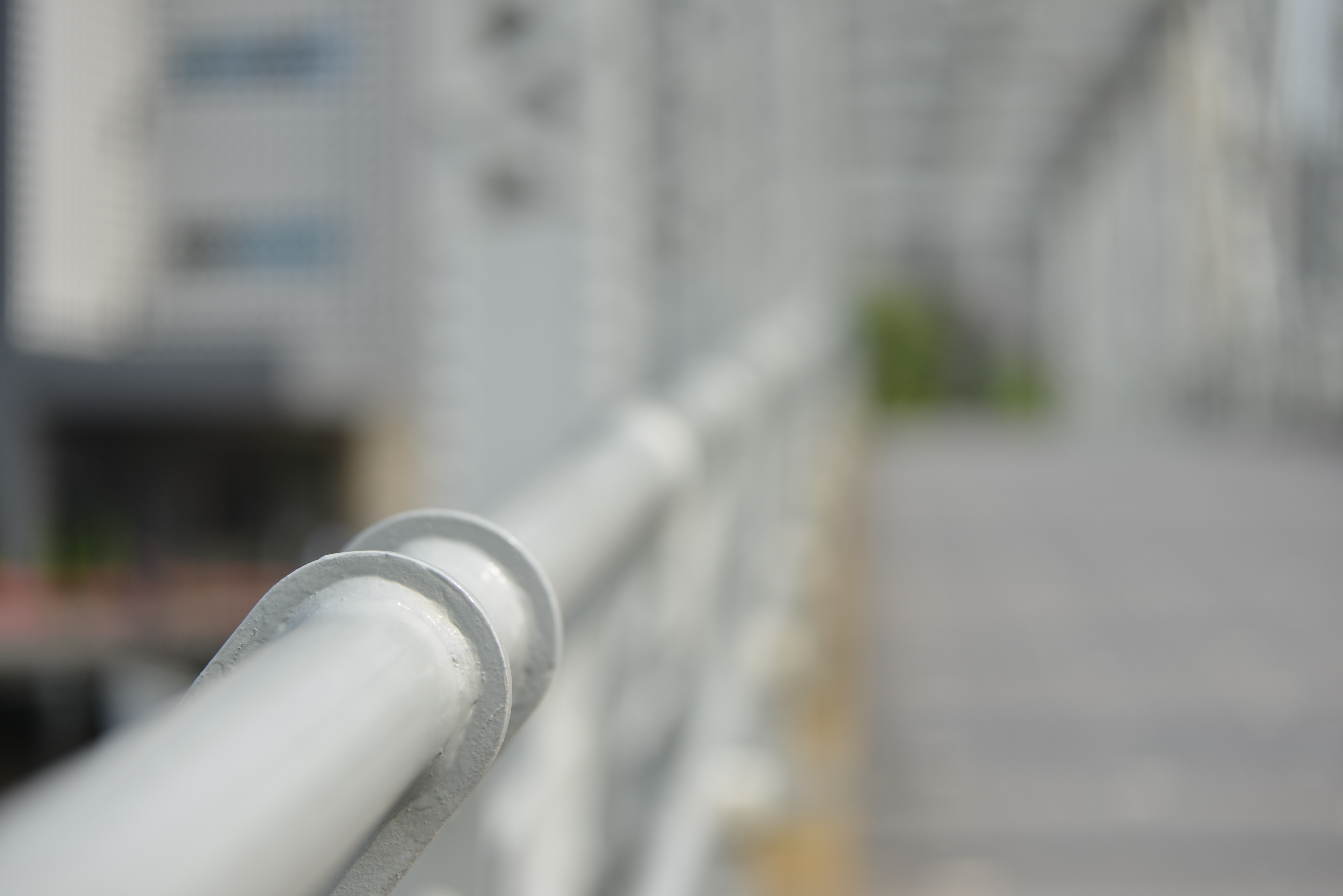 絞り開放・最短撮影距離（100cm）で撮影。D800 / 1/500秒 / F4 / +0.3EV / ISO100 / 70mm