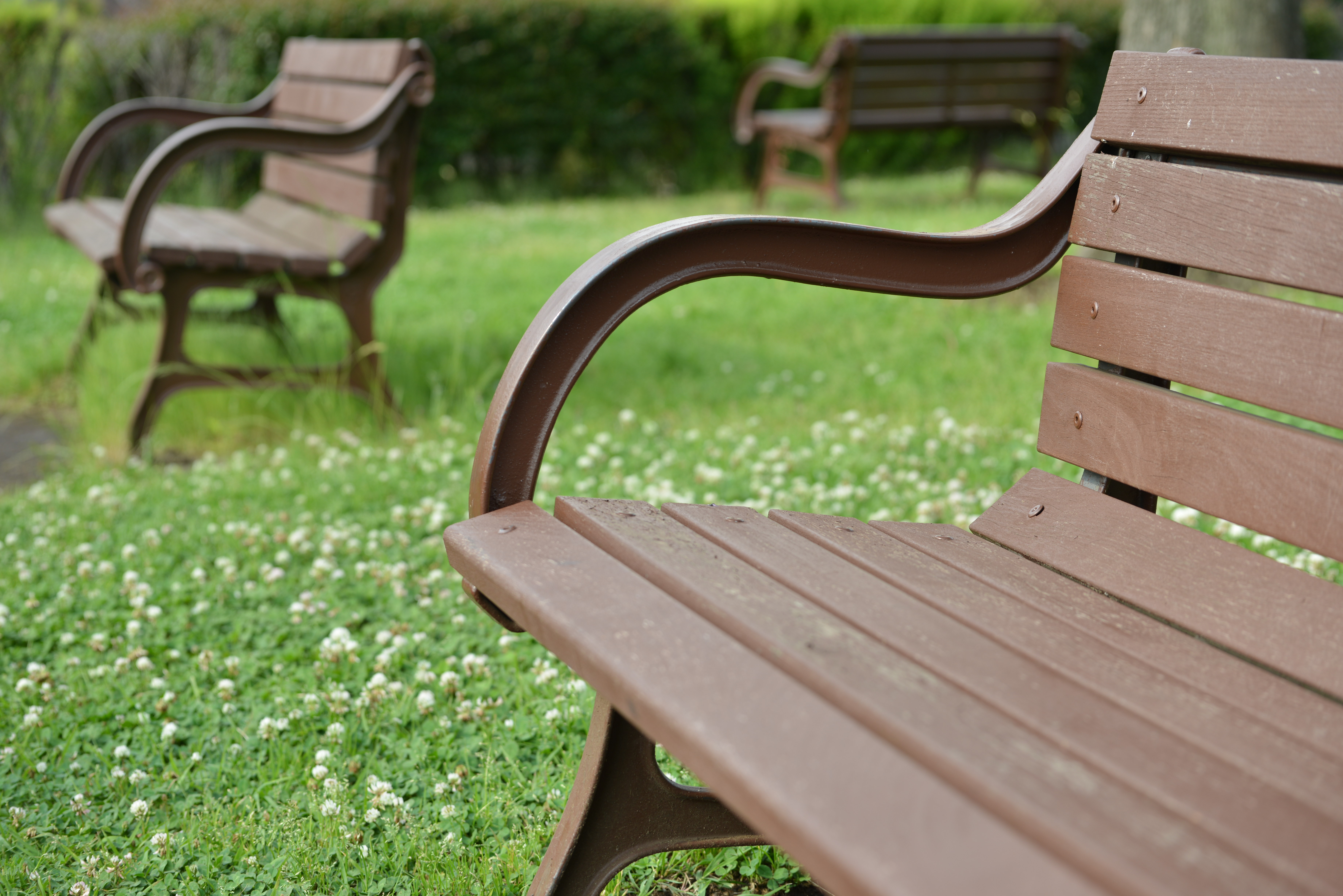 絞りF5.6・距離数mで撮影。D800 / 1/160秒 / F5.6 / 0EV / ISO100 / 70mm