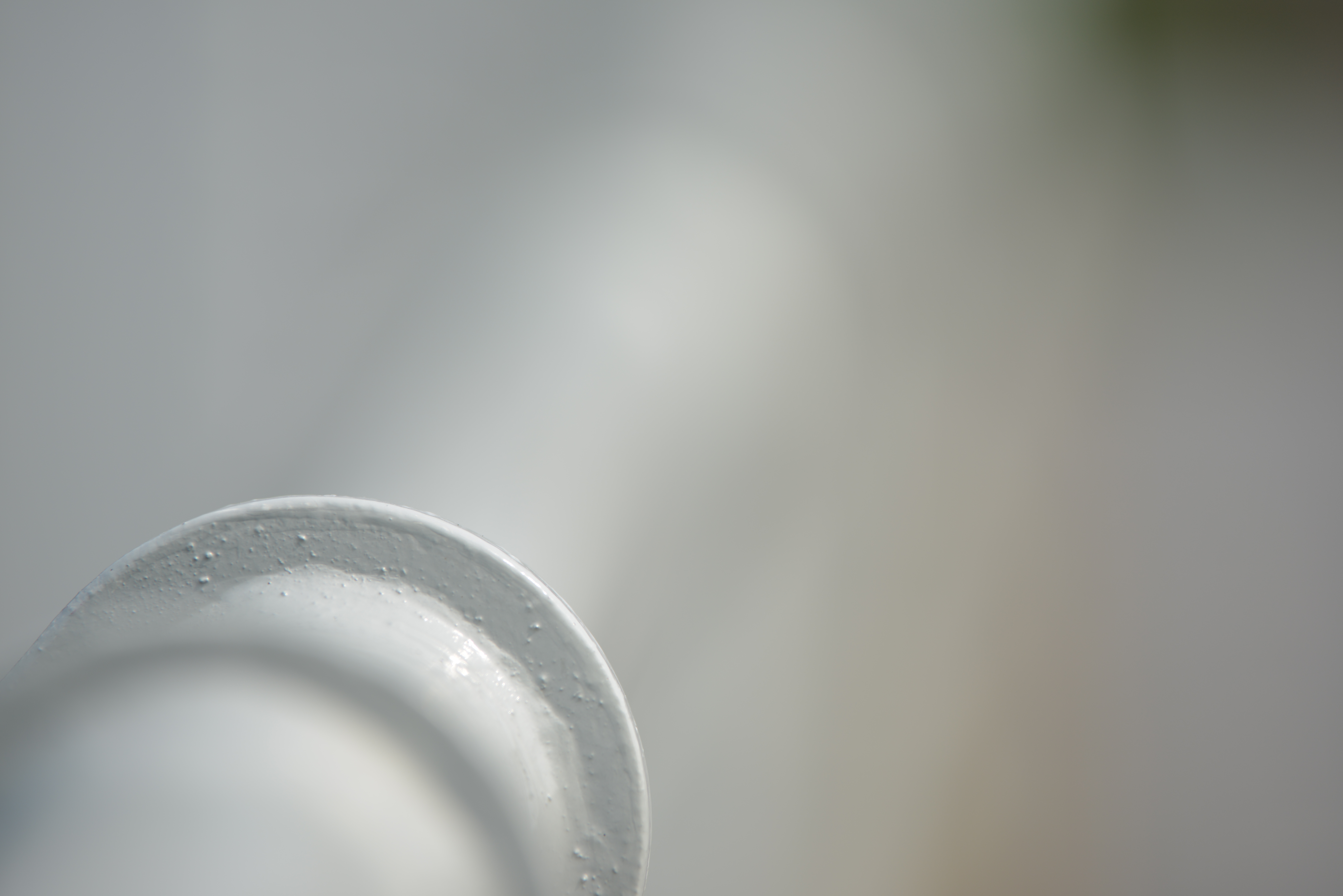 絞り開放・最短撮影距離（100cm）で撮影。D800 / 1/400秒 / F5 / +0.3EV / ISO100 / 200mm