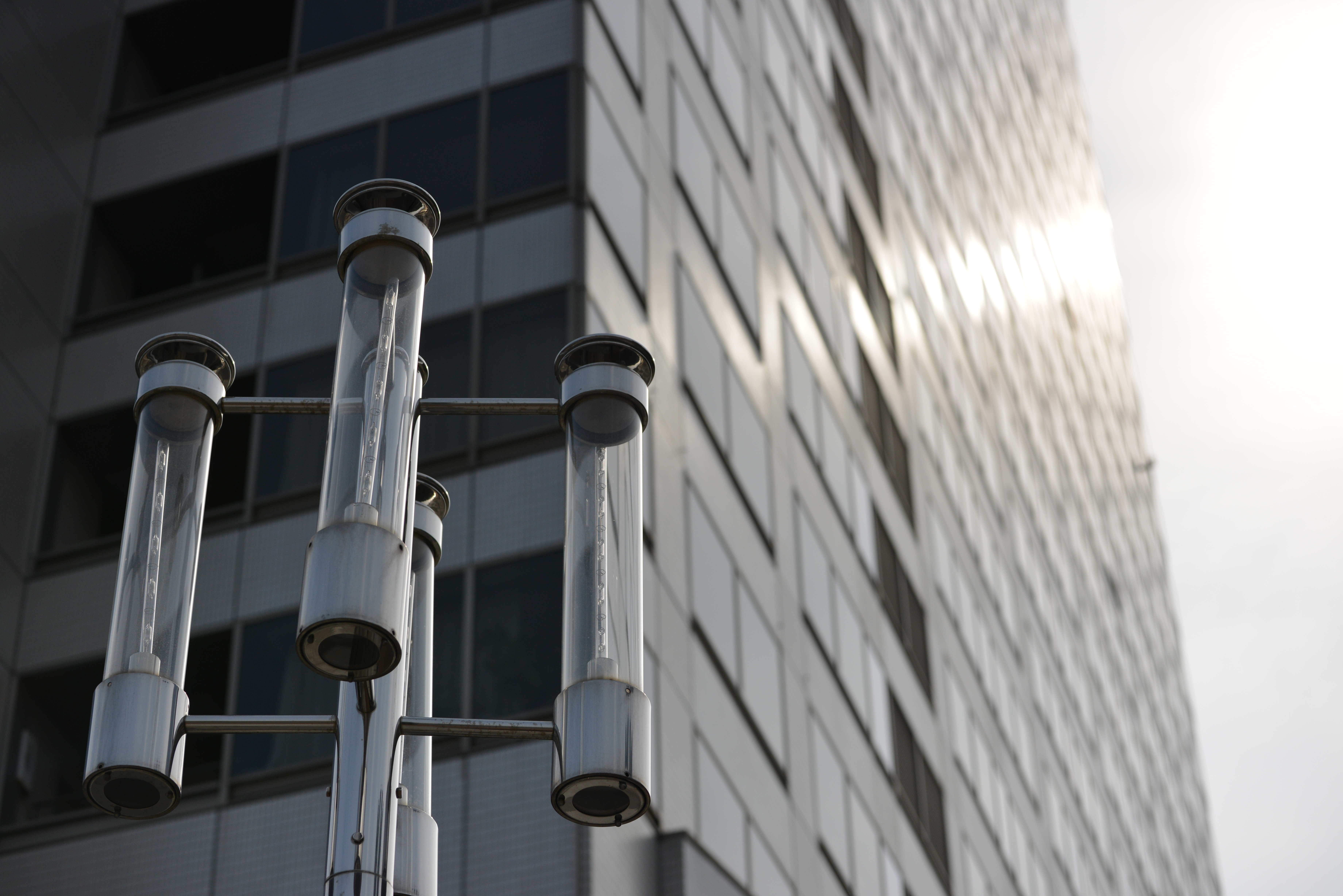 太陽が画面外にある逆光で撮影。D800 / 1/8,000秒 / F5.6 / -1EV / ISO400 / 70mm