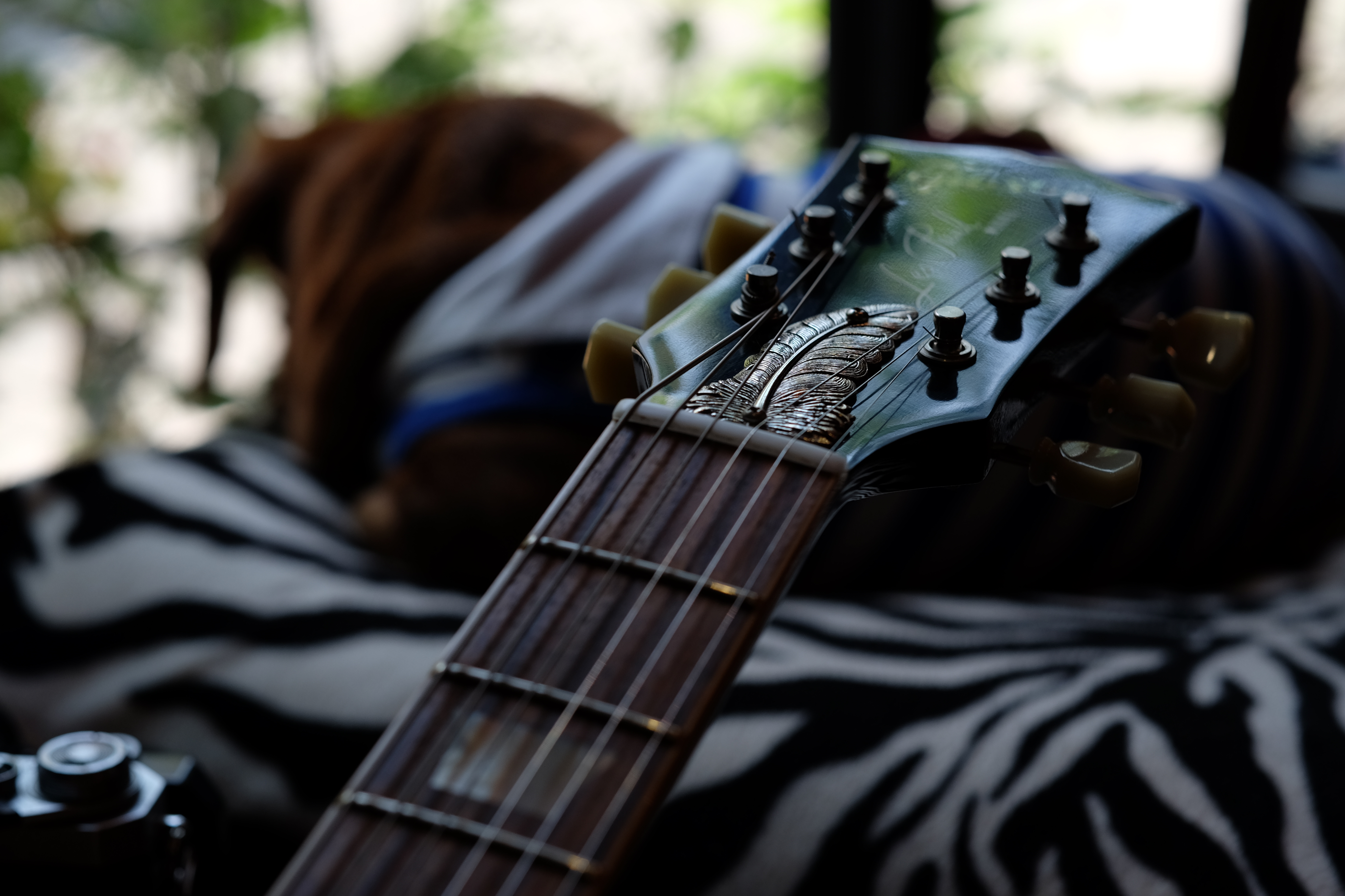 近接でF4まで絞った。なだらかなボケのなか、合焦部の鋭さが際立つ。X-T1 / 1/150秒 / F4 / -1.33EV / ISO200 / 56mm