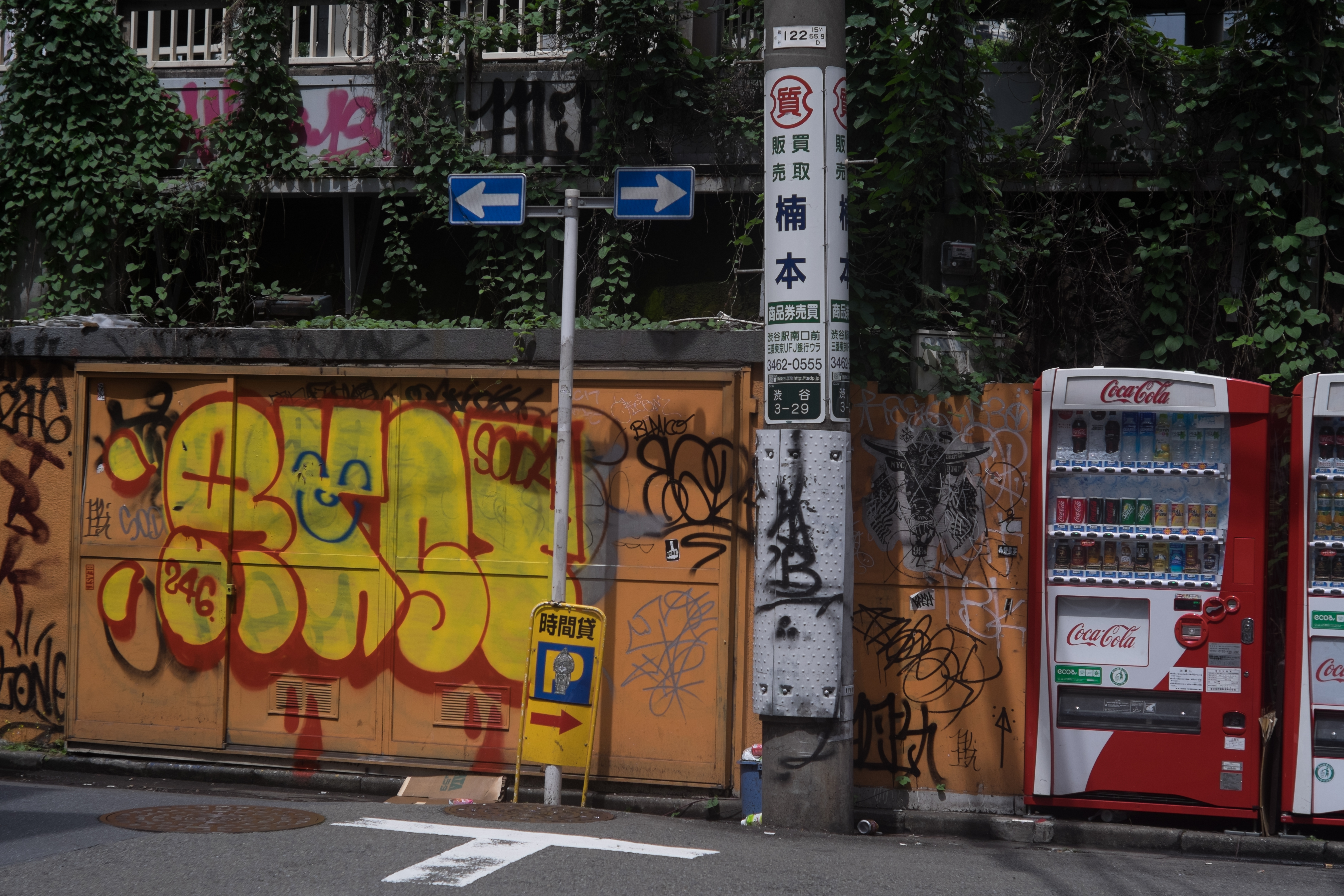 X-T1 / Canon 50mm F1.8 / 4,896×3,264 / 1/1,200秒 / F5.6 / -1.33EV / ISO200 / WB:オート / 50mm