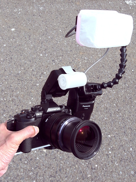 発光部が「フレキシブルアーム」によって自在に動き、任意の位置に固定できるストロボを作ってみた。これをブラケットを介して「OLYMPUS OM-D E-M1」に装着。アクセサリーシューにはさらに小型のストロボを装着し“2灯式”としている。装着したレンズは「M.ZUIKO DIGITAL ED 12-40mm F2.8 PRO」である。ズーム全域で最短撮影距離20cmを実現し、「望遠マクロ」から「広角マクロ」まで実に高画質の画像を得る事ができる。このレンズの潜在能力をフルに引き出すため、マクロ撮影時に最適化した照明について考えてみたのだ。