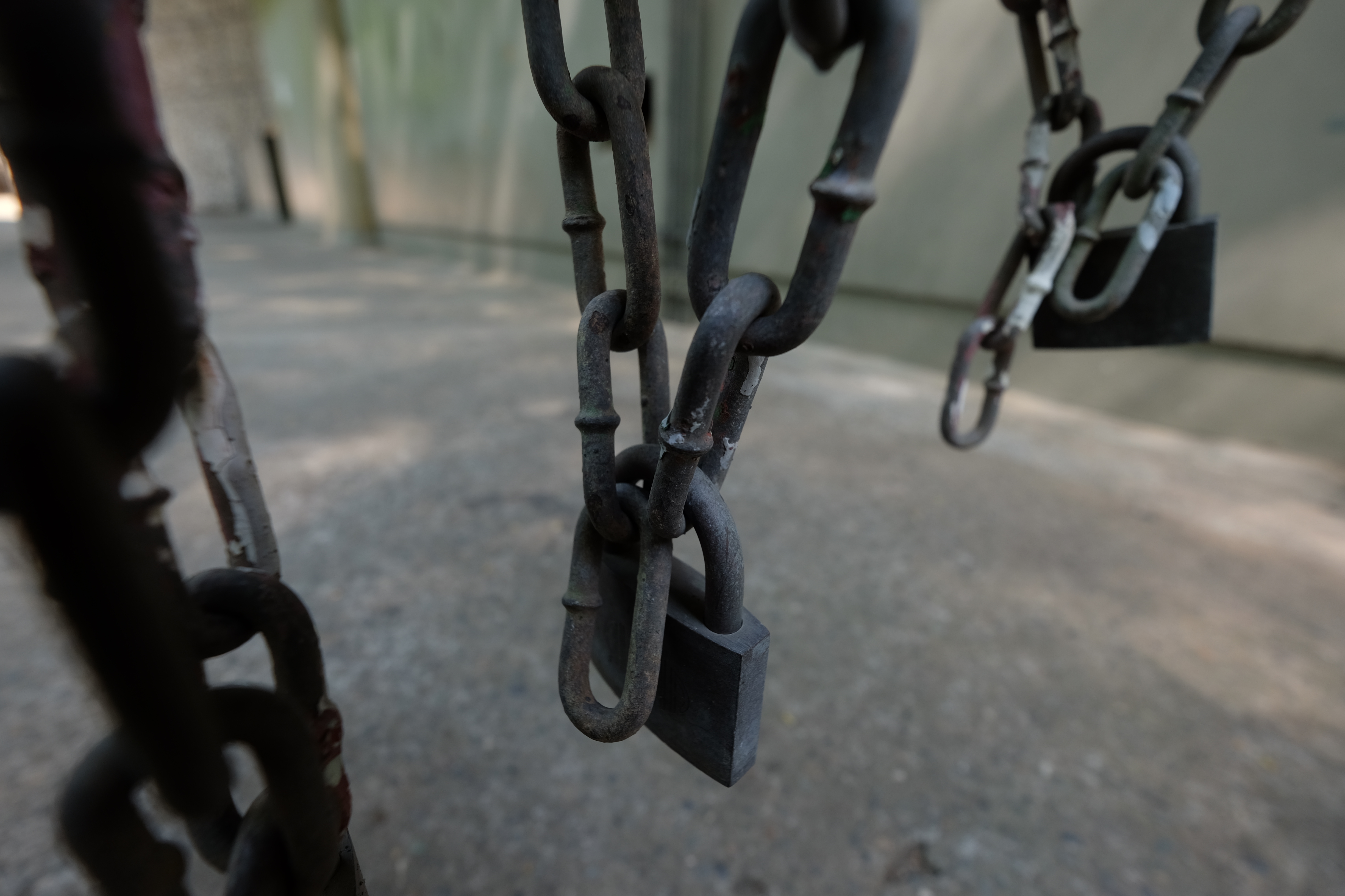 絞り開放・最短撮影距離（24cm）で撮影。X-T1 / 1/150秒 / F4 / -0.67EV / ISO200 / 絞り優先AE / 10mm