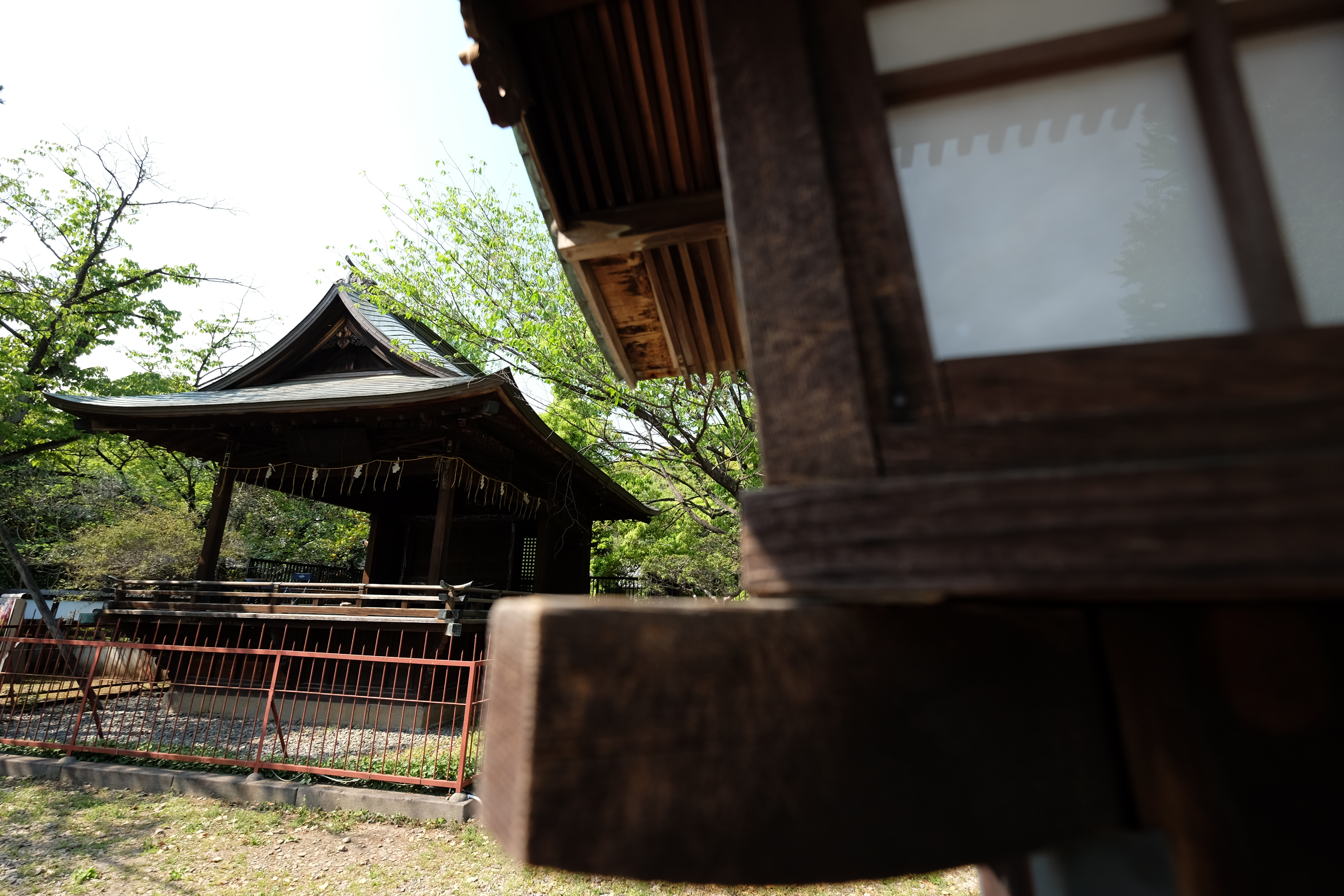 絞り開放・距離数mで撮影。X-T1 / 1/350秒 / F4 / -0.67EV / ISO200 / 絞り優先AE / 10mm
