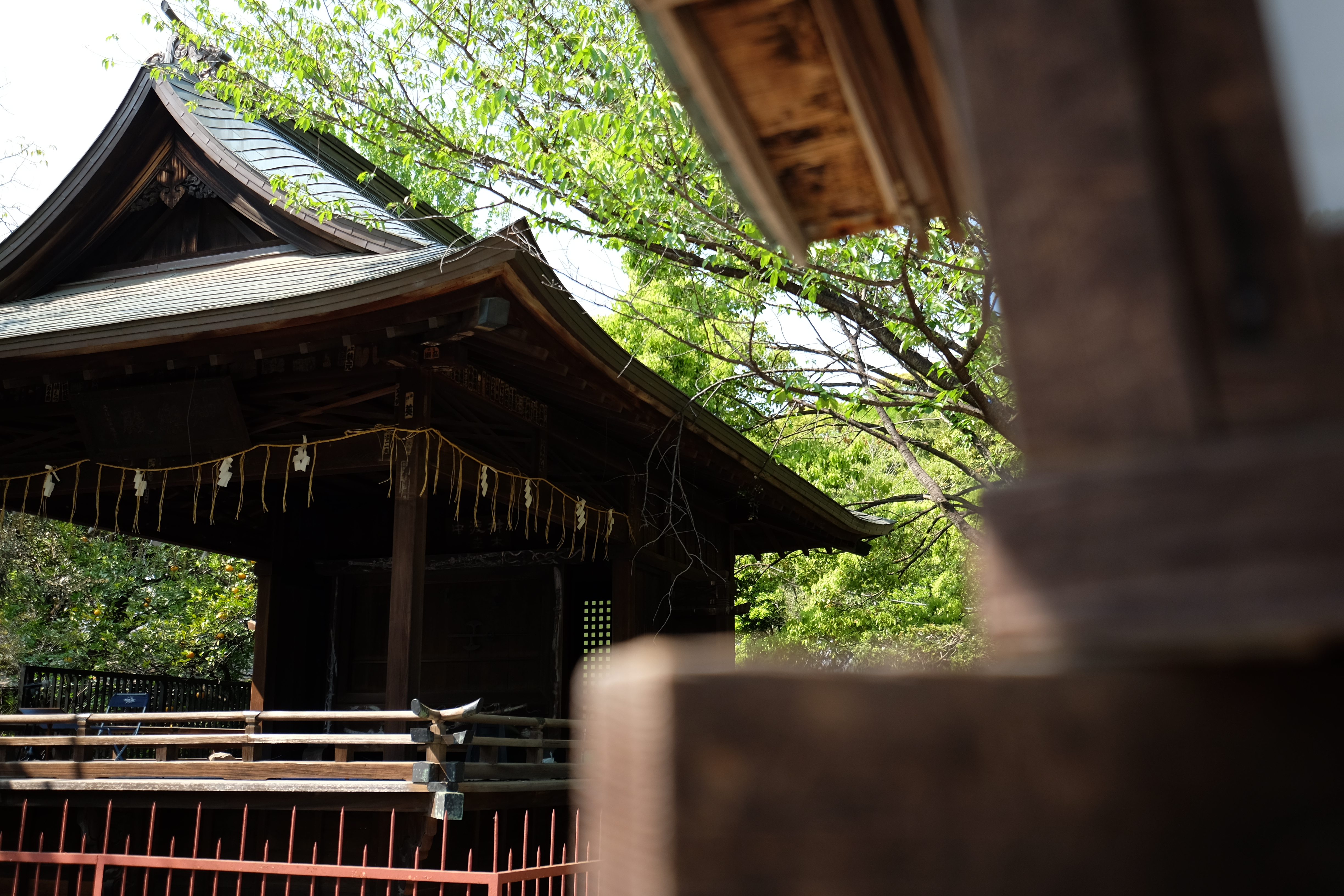 絞り開放・距離数mで撮影。X-T1 / 1/320秒 / F4 / -0.67EV / ISO200 / 絞り優先AE 24mm