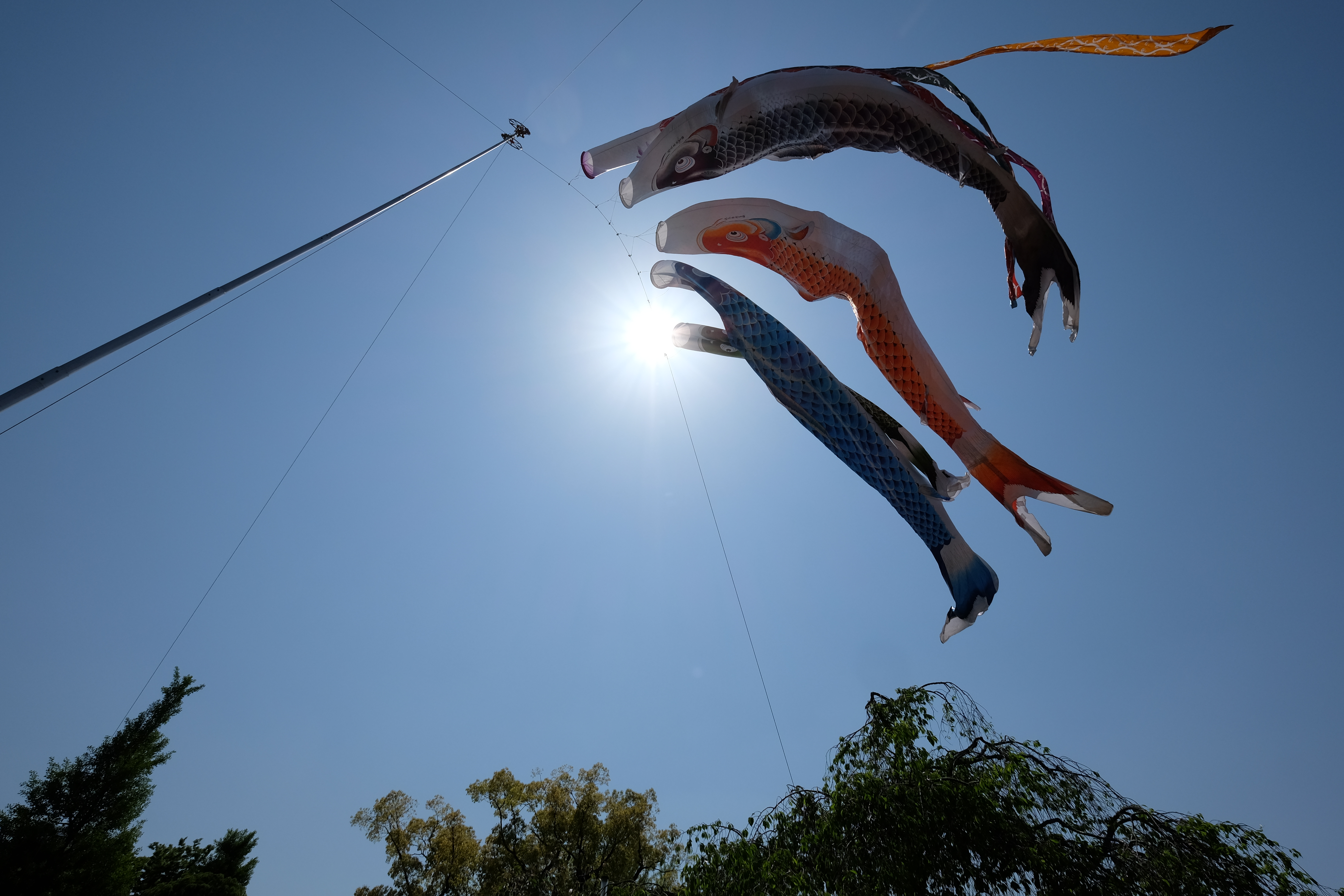 中央に太陽を配して撮影した。フレアやゴーストが最小限で、コントラストに力強さがある。X-T1 / 1/1500秒 / F8 / 0EV / ISO200 / 絞り優先AE / 10mm