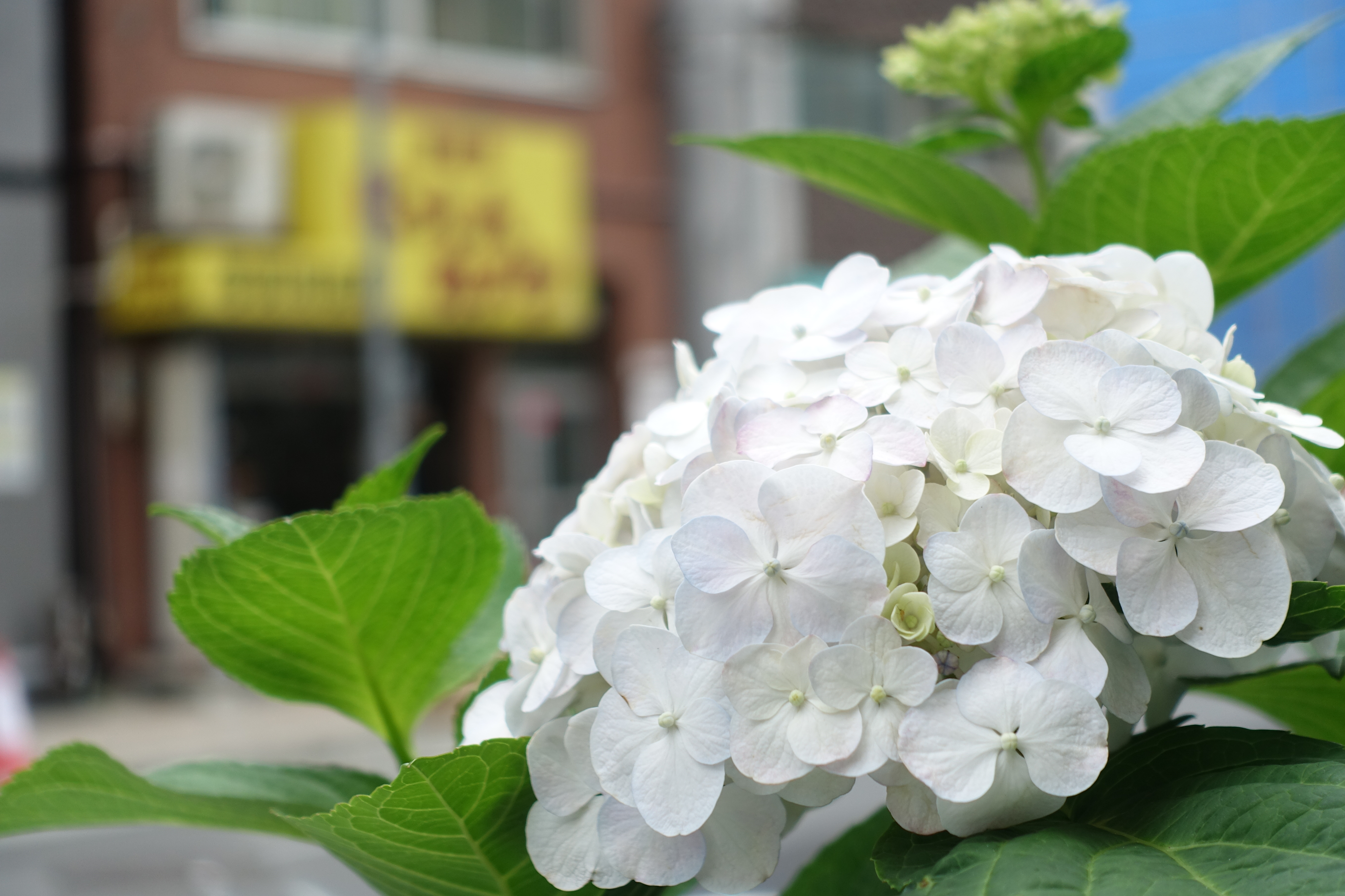 ISO125 / F2.8 / 1/320秒 / 25.7mm（70mm相当）