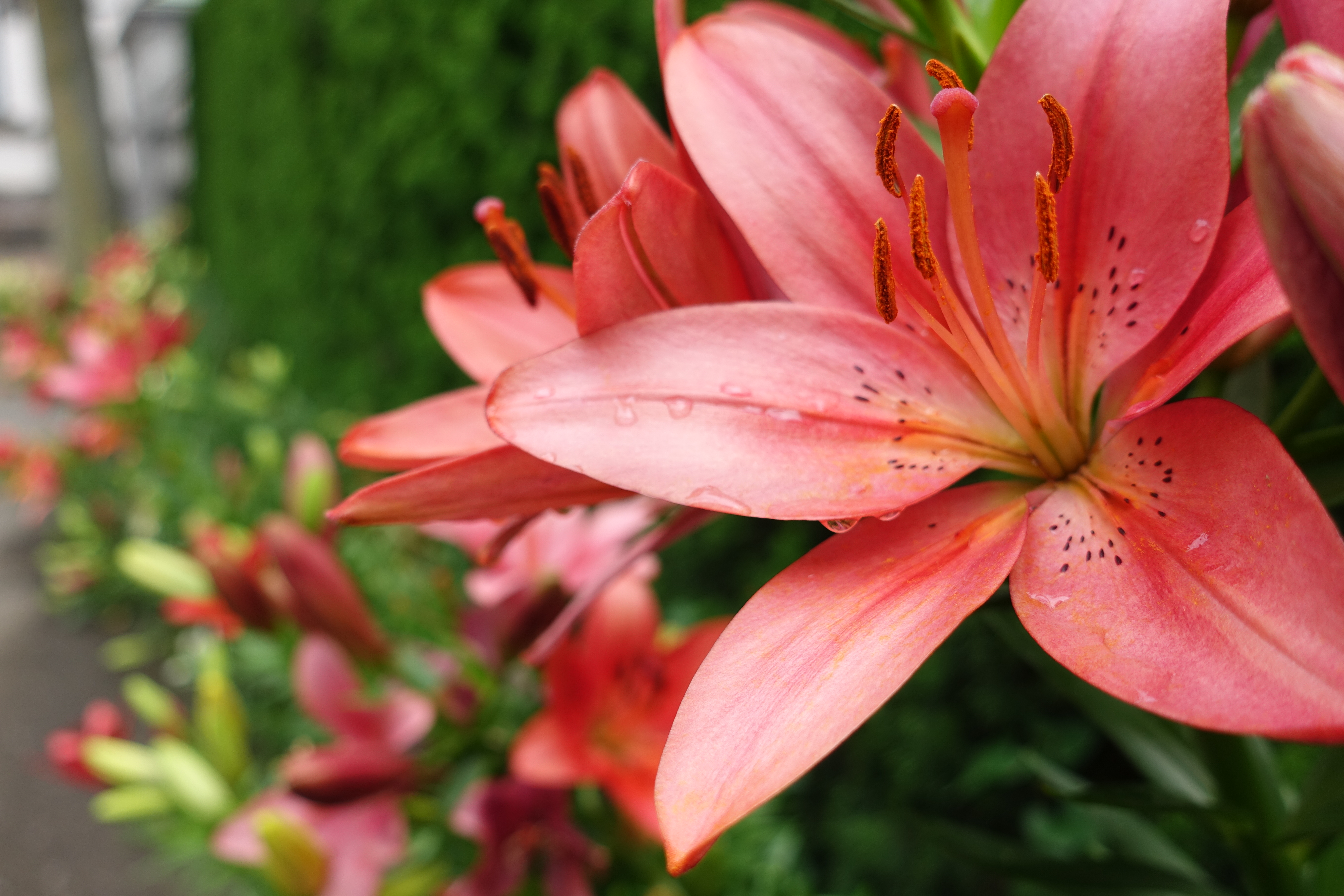 ISO125 / F2.8 / 1/500秒 / 12.8mm（35mm相当）