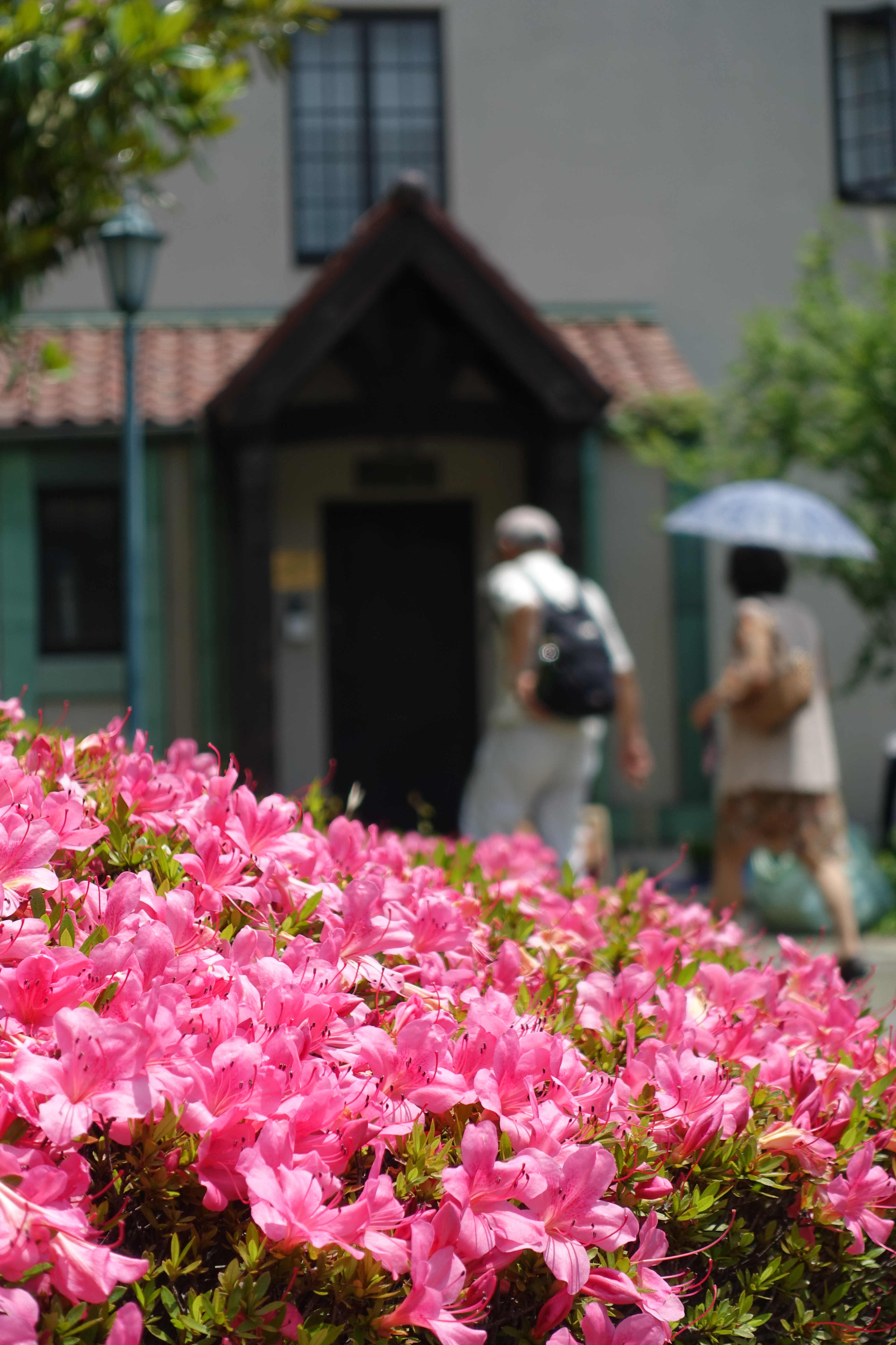 ISO125 / F3.2 / 1/200秒 / 25.7mm（70mm相当）