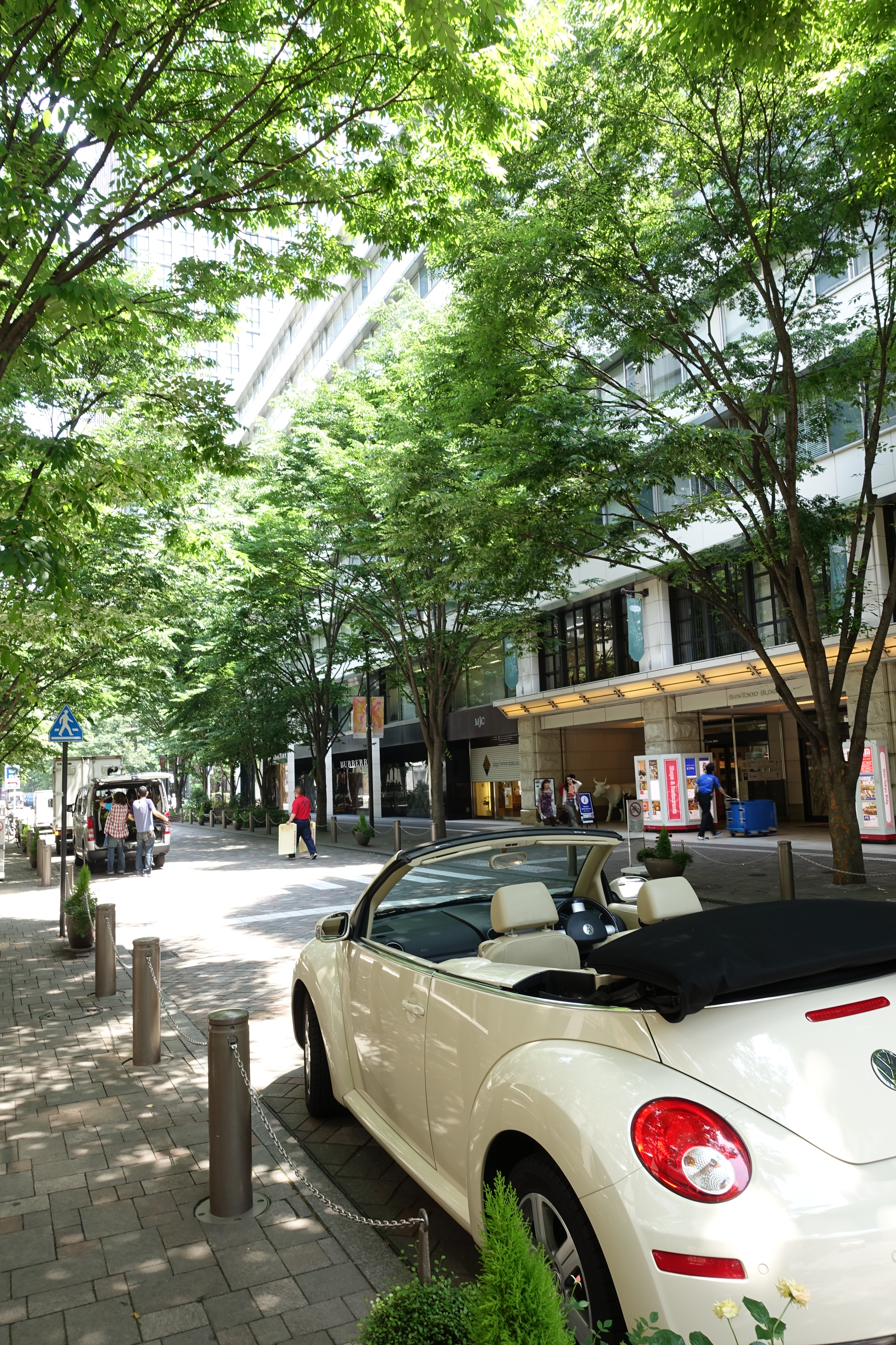 ISO125 / F5.6 / 1/30秒 / 8.8mm（24mm相当）