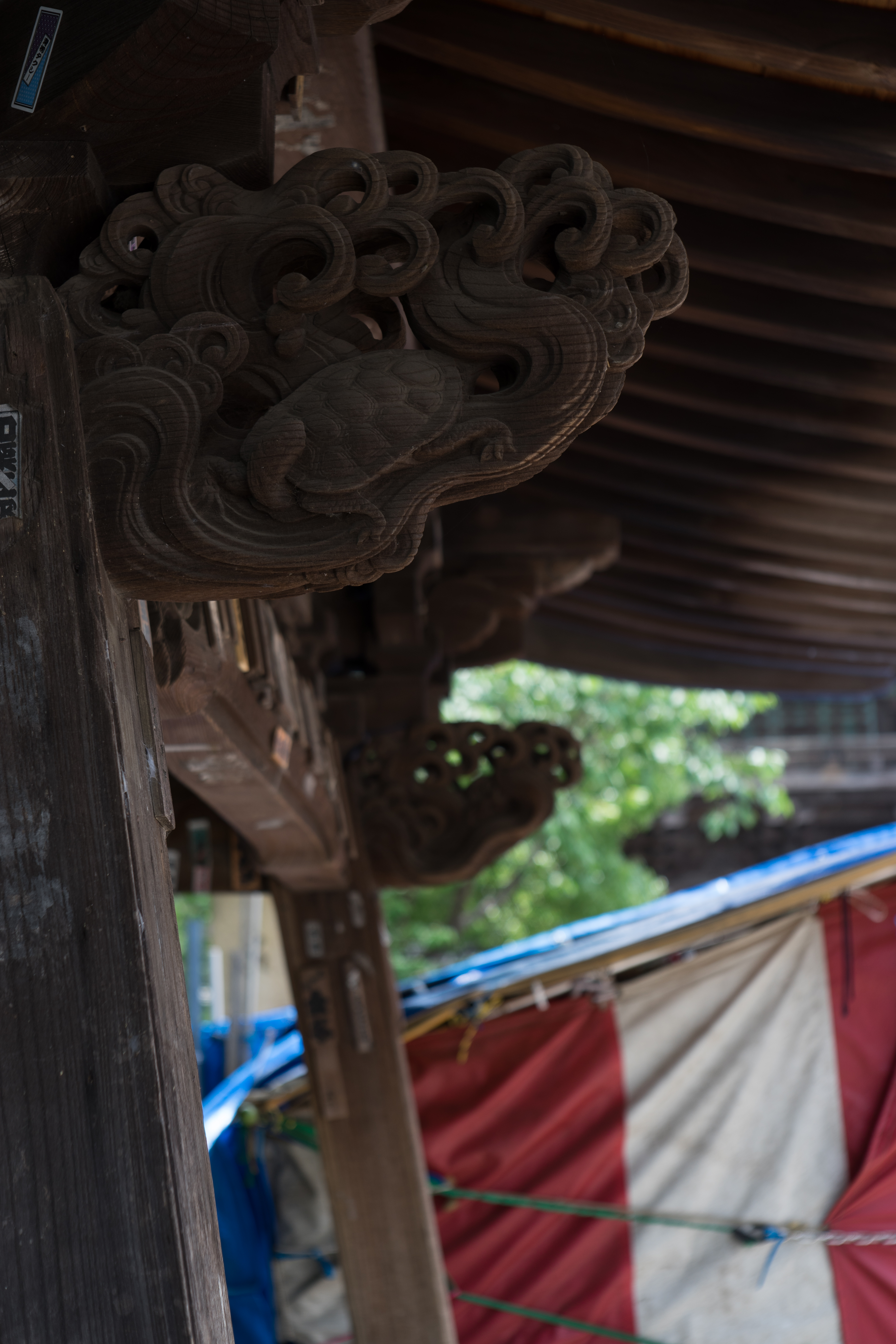 α7 / Tessar 50mm F2.8 / 6,000×4,000 / 1/100秒 / F5.6 / -1.3EV / ISO100 / WB:オート / 50mm