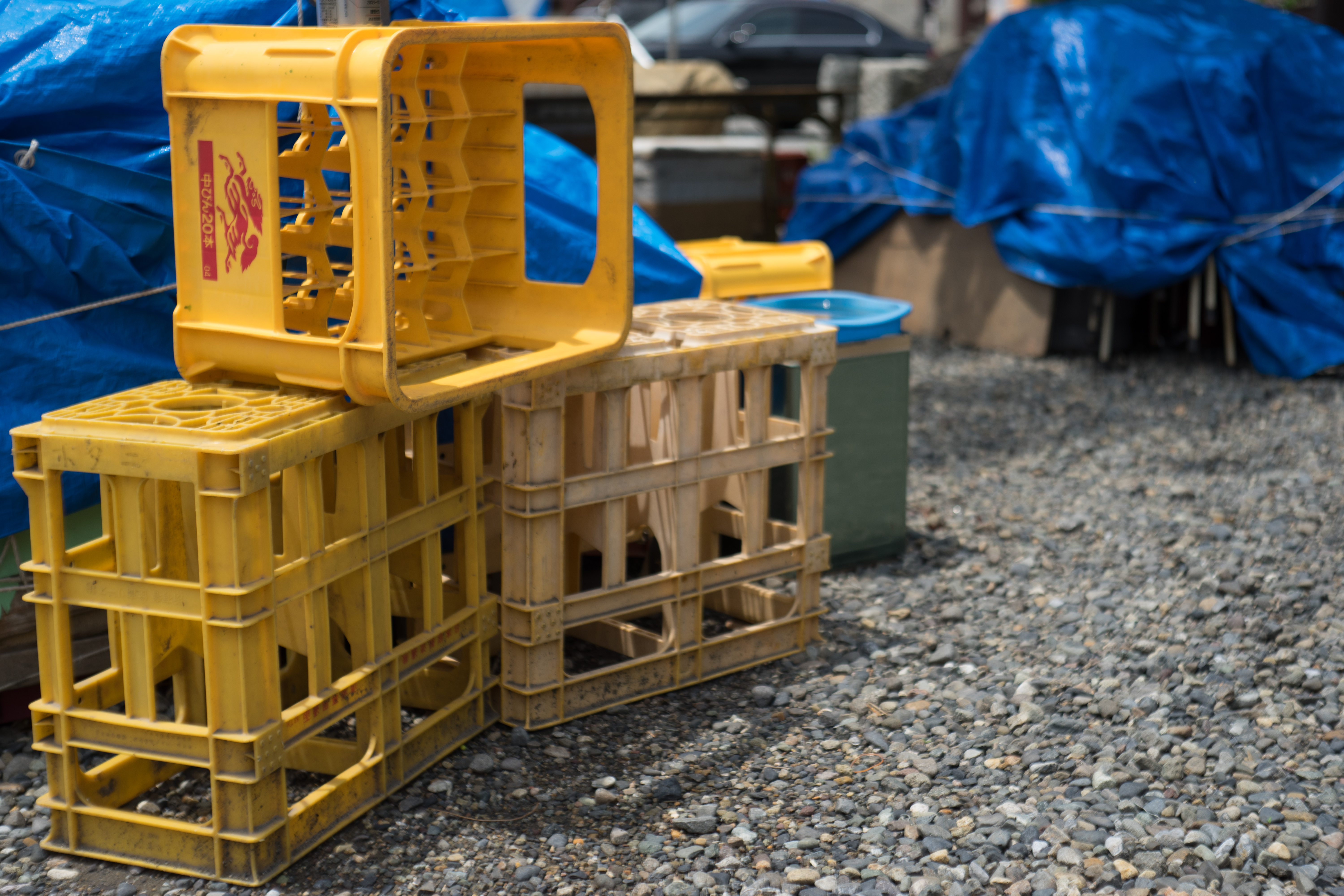 α7 / Tessar 50mm F2.8 / 6,000×4,000 / 1/1250秒 / F4 / 0EV / ISO100 / WB:オート / 50mm