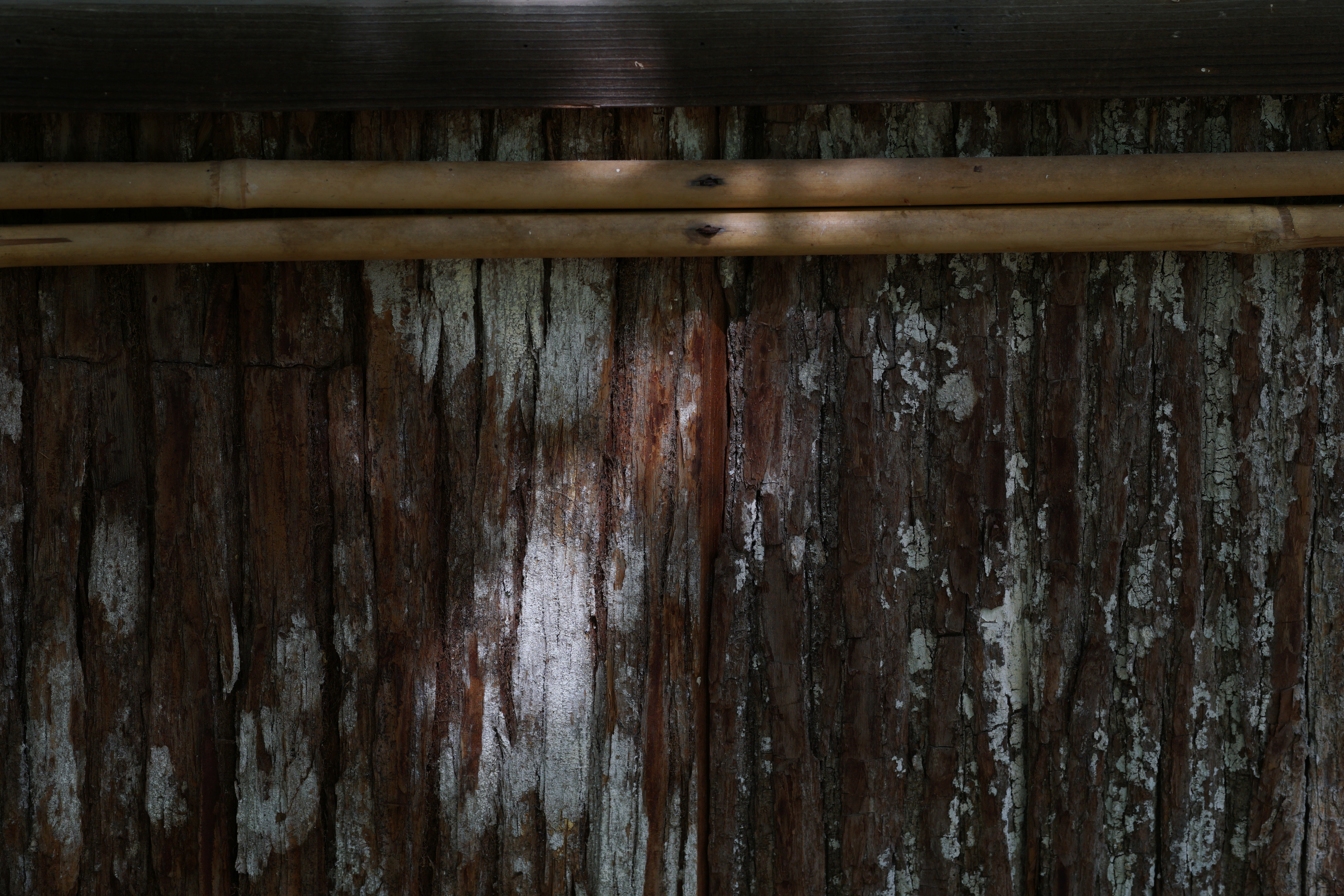 これは少し遠めから。シャープな描写は「Art」シリーズならでは。60mm F2.8 DN / 1/200秒 / F5 / ISO200 / 絞り優先AE / 60mm