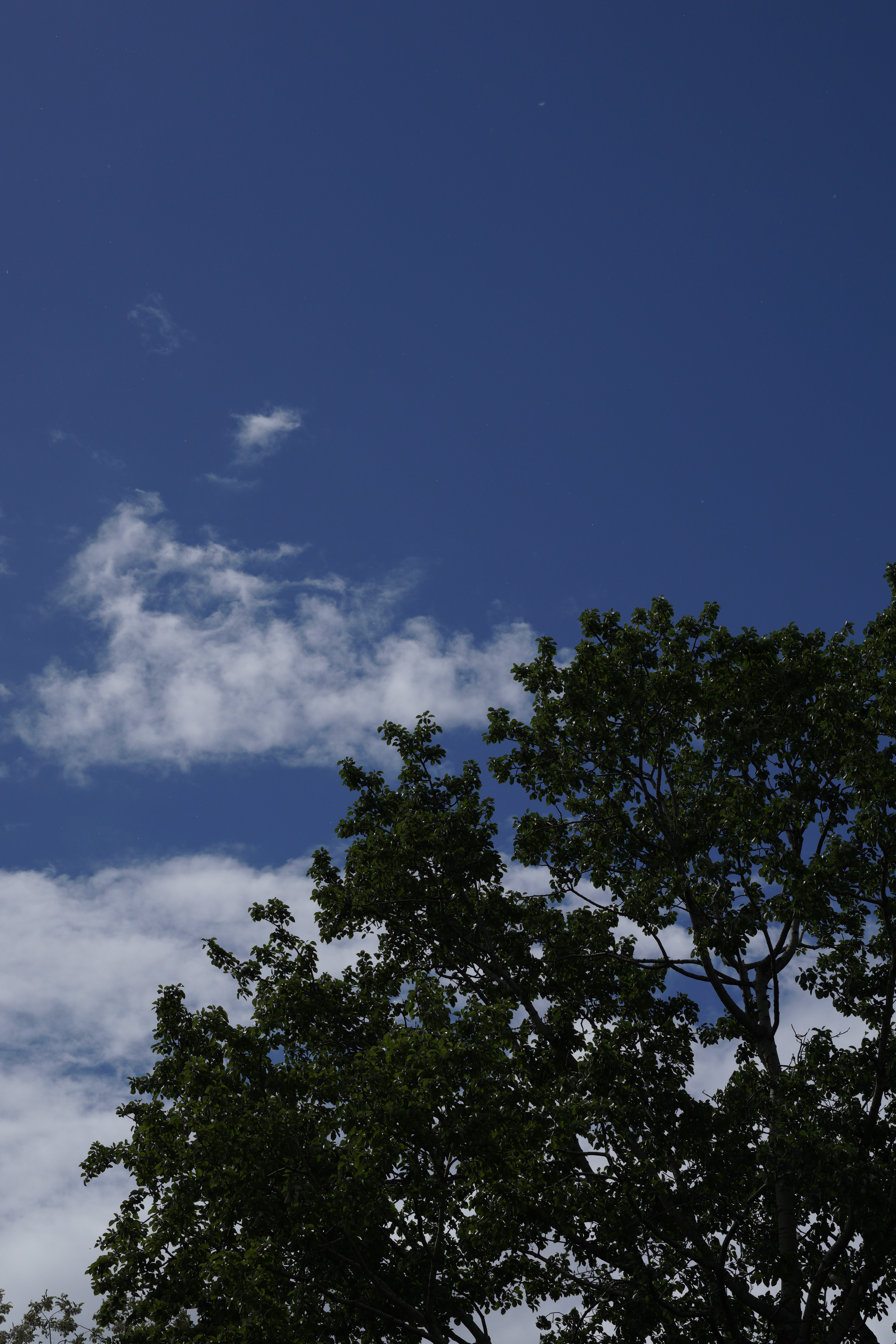 空の青さを強調したくてわざとアンダーめの露出。電子先幕シャッターを使用しても露出ムラは起きないようで、この点は一安心である。60mm F2.8 DN / 1/1600秒 / F8 / ISO100 / 絞り優先AE / 60mm