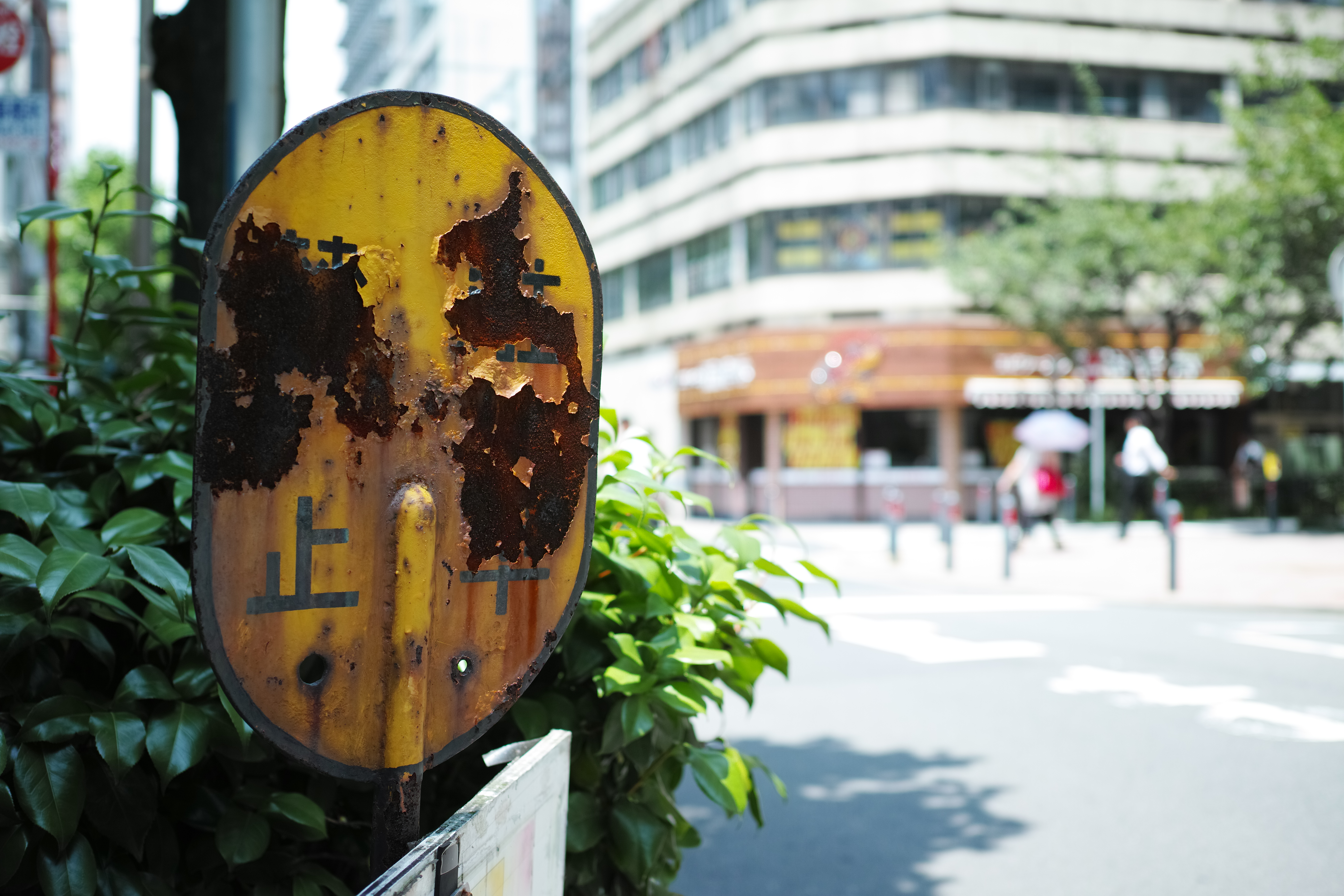 質感描写に優れているのもFoveonセンサーならでは。ハイライト部は白トビしやすいので、明暗差のある被写体の場合露出に注意したい。絞り優先AE / 1/400秒 / F2.8 / ISO100 / ±0EV