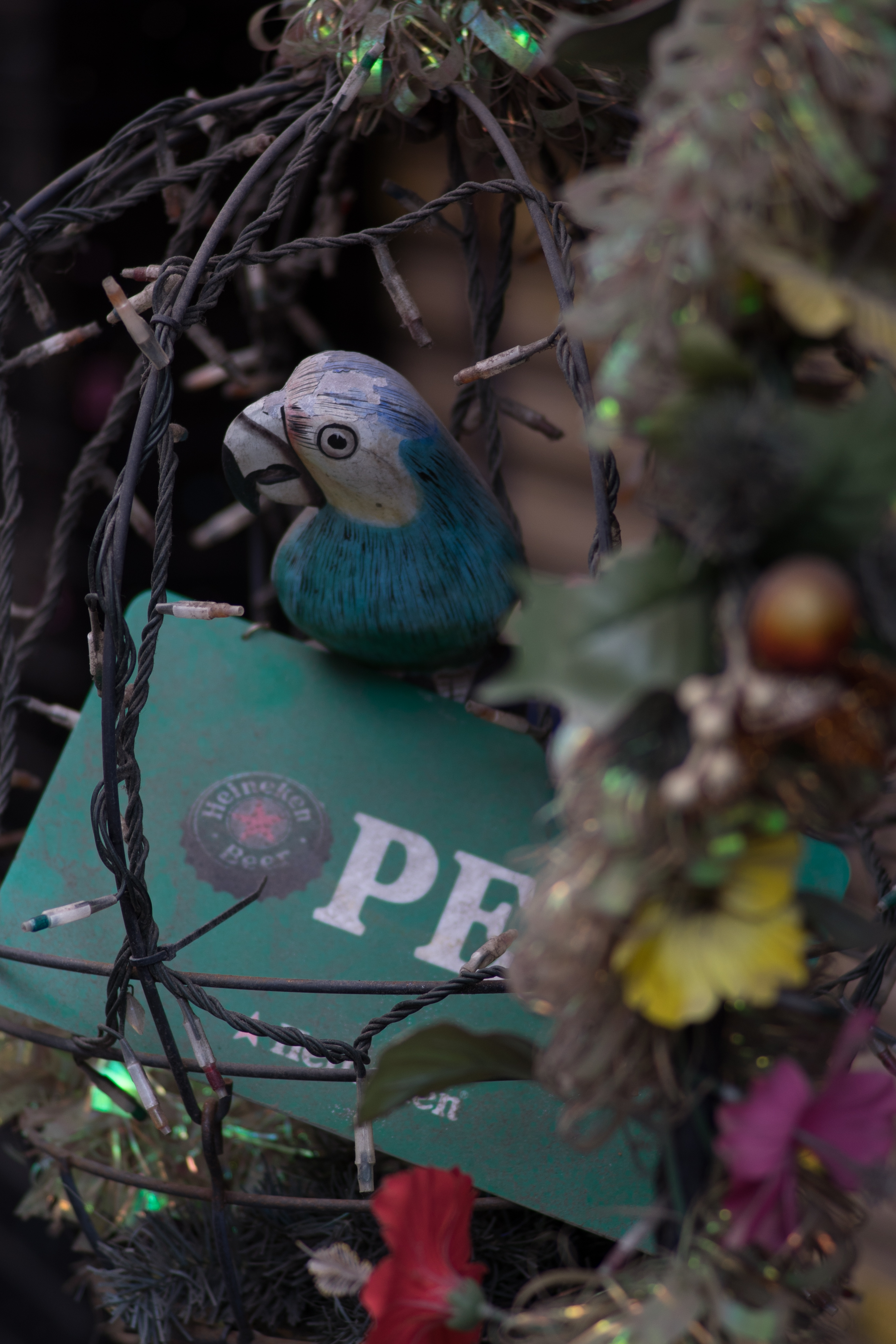 α7 / Sonnar T* 90mm F2.8 / 6,000×4,000 / 1/80秒 / F2.8 / -0.7EV / ISO100 / WB:オート / 90mm