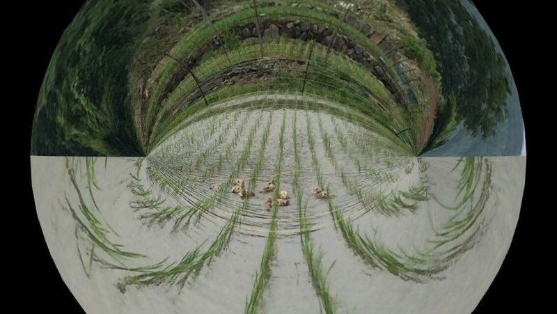 スフィアビューのスクリーンショット（左）。右が通常写真の状態（いずれもリコー提供）