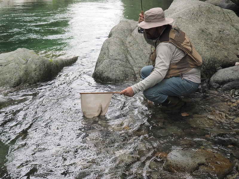 早速お魚ちゃんゲット〜♪
