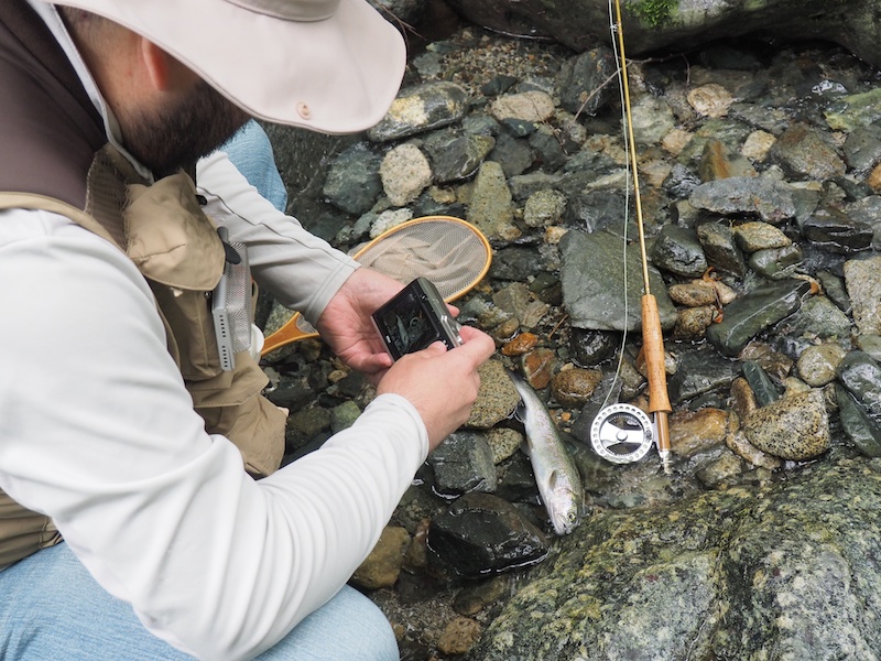 パチリパチリと数枚。水と魚のヌメリが付いた手でも、扱いやすいAW1なのであった。