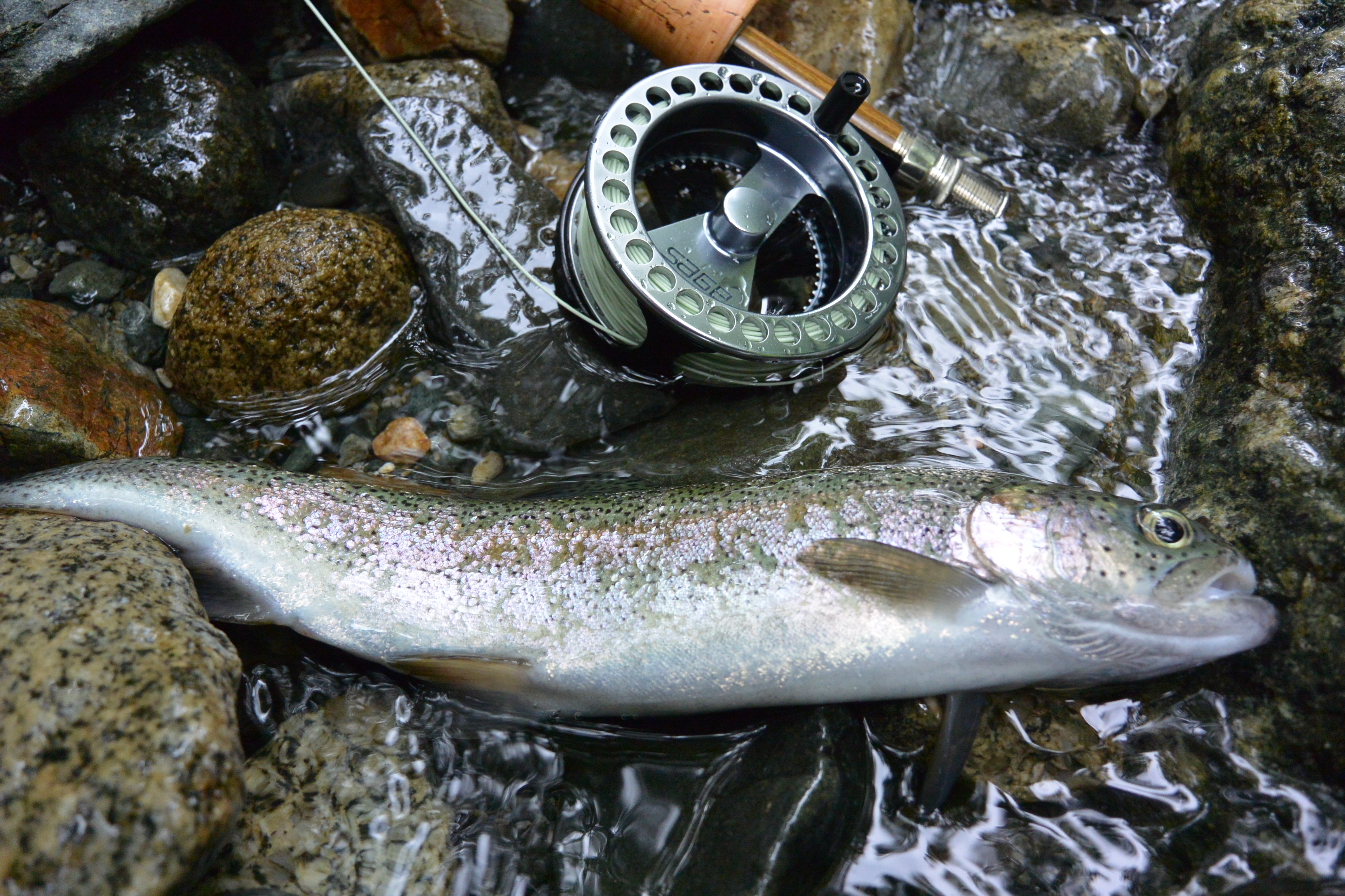 こんな写真が撮れました〜。Nikon 1 AW1・1 NIKKOR AW 11-27.5mm f/3.5-5.6・ISO360・F3.8・1/250・±0EV・WB:オート・32mm（35mm判換算）