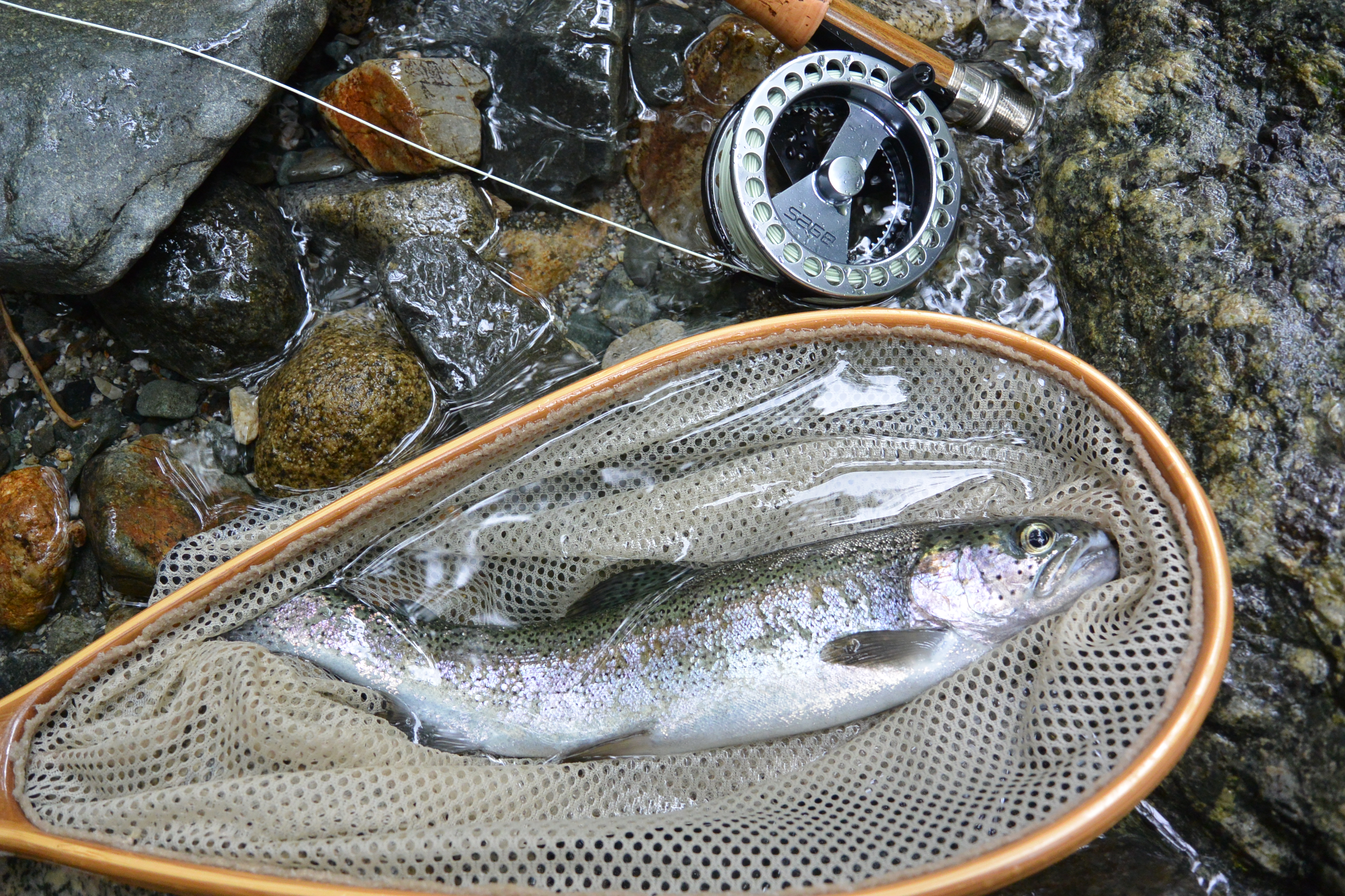 ランディングネット（魚をすくう網）の細かな目までキッチリ解像している。石や水、金属などの質感も破綻なく描写してくれて嬉しい!!　Nikon 1 AW1・1 NIKKOR AW 11-27.5mm f/3.5-5.6・ISO400・F3.8・1/640・±0EV・WB:オート・32mm（35mm判換算）