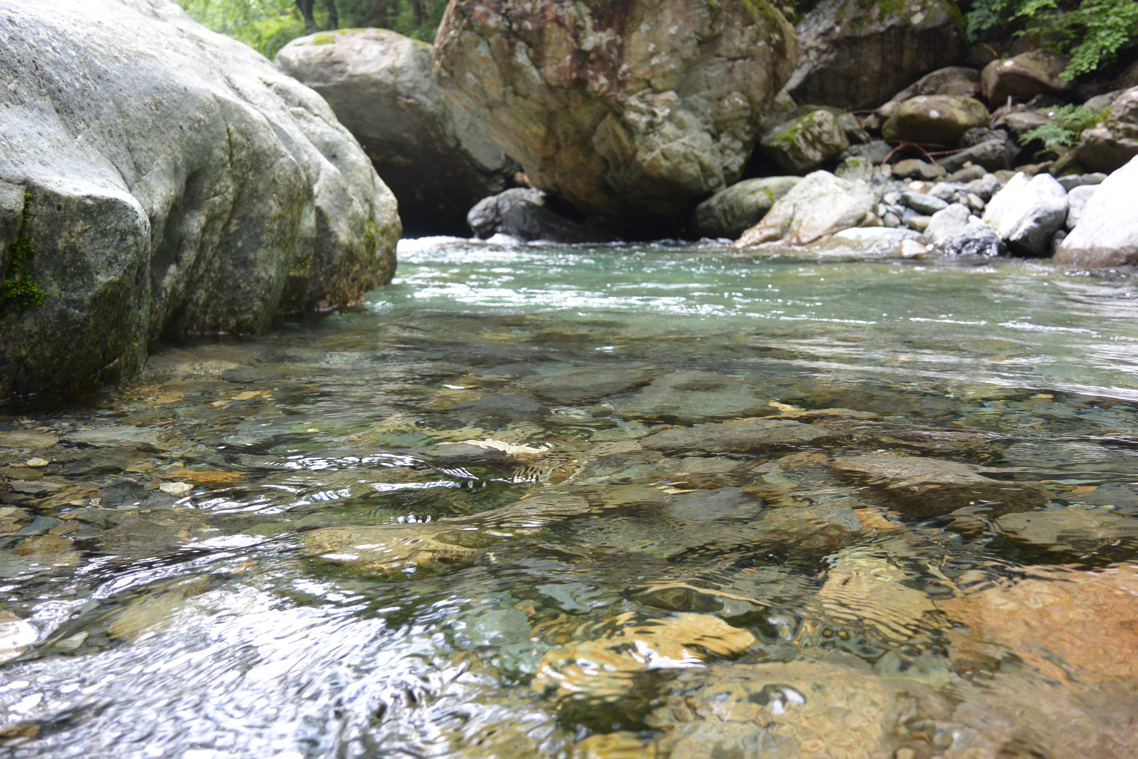 水面スレスレでカメラを持って、涼しげな水の流れを捉えてみた。Nikon 1 AW1・1 NIKKOR AW 11-27.5mm f/3.5-5.6・ISO400・F3.8・1/200・±0EV・WB:オート・33mm（35mm判換算）
