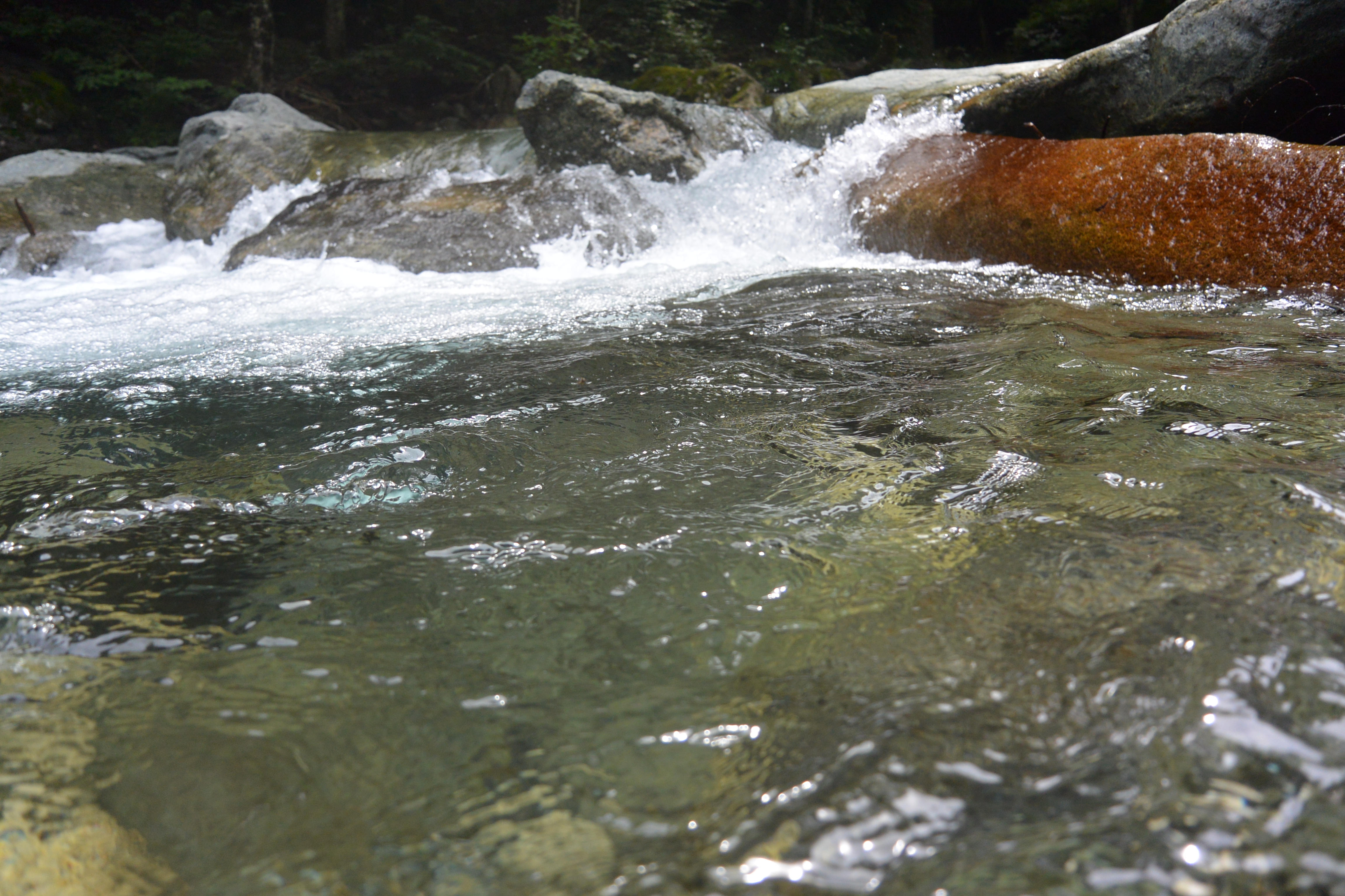水面ギリギリで撮った写真。Nikon 1 AW1・1 NIKKOR AW 11-27.5mm f/3.5-5.6・ISO160・F4・1/640・±0EV・WB:オート・29mm（35mm判換算）