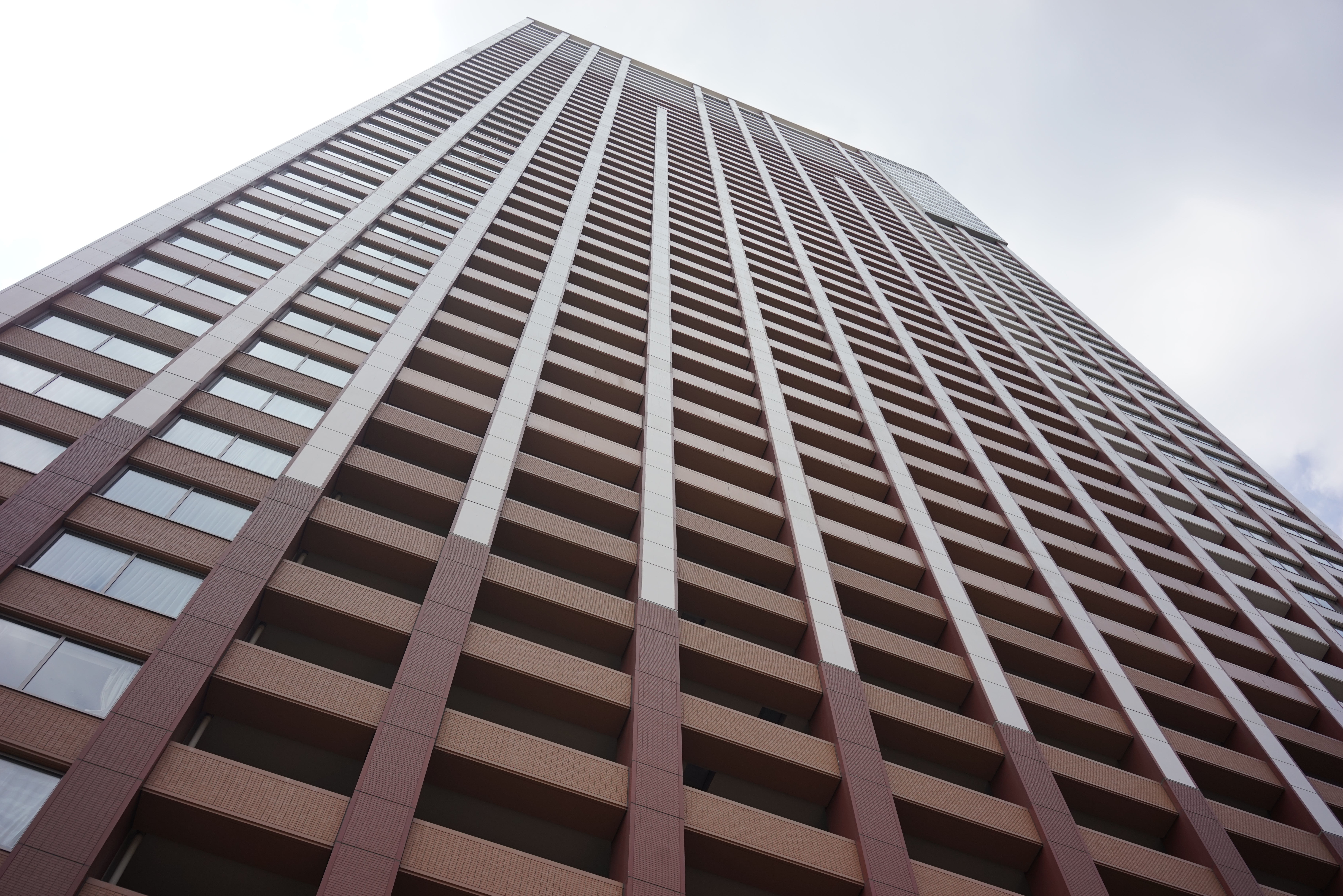 太陽が画面外にある逆光で撮影。α7R / 1/400秒 / F8 / 0EV / ISO125 / 絞り優先AE / 35mm