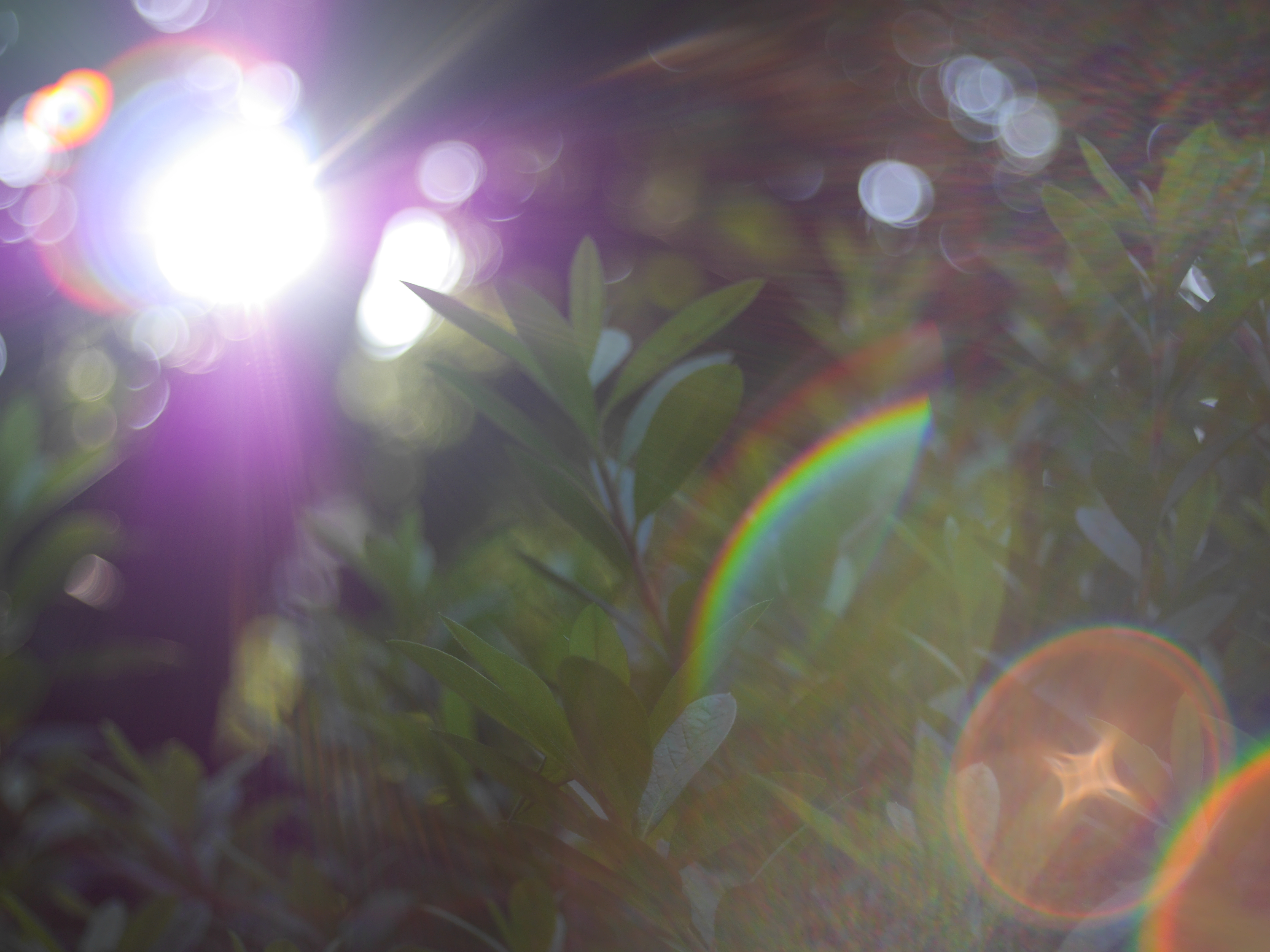 DMC-GH3 / 1/640秒 / F2.8 / 0EV / ISO200 / 絞り優先AE / 50mm