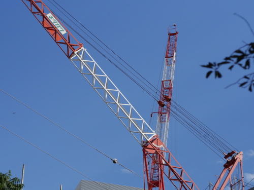 交換レンズレビュー：BORG 50mm F2.8 - デジカメ Watch