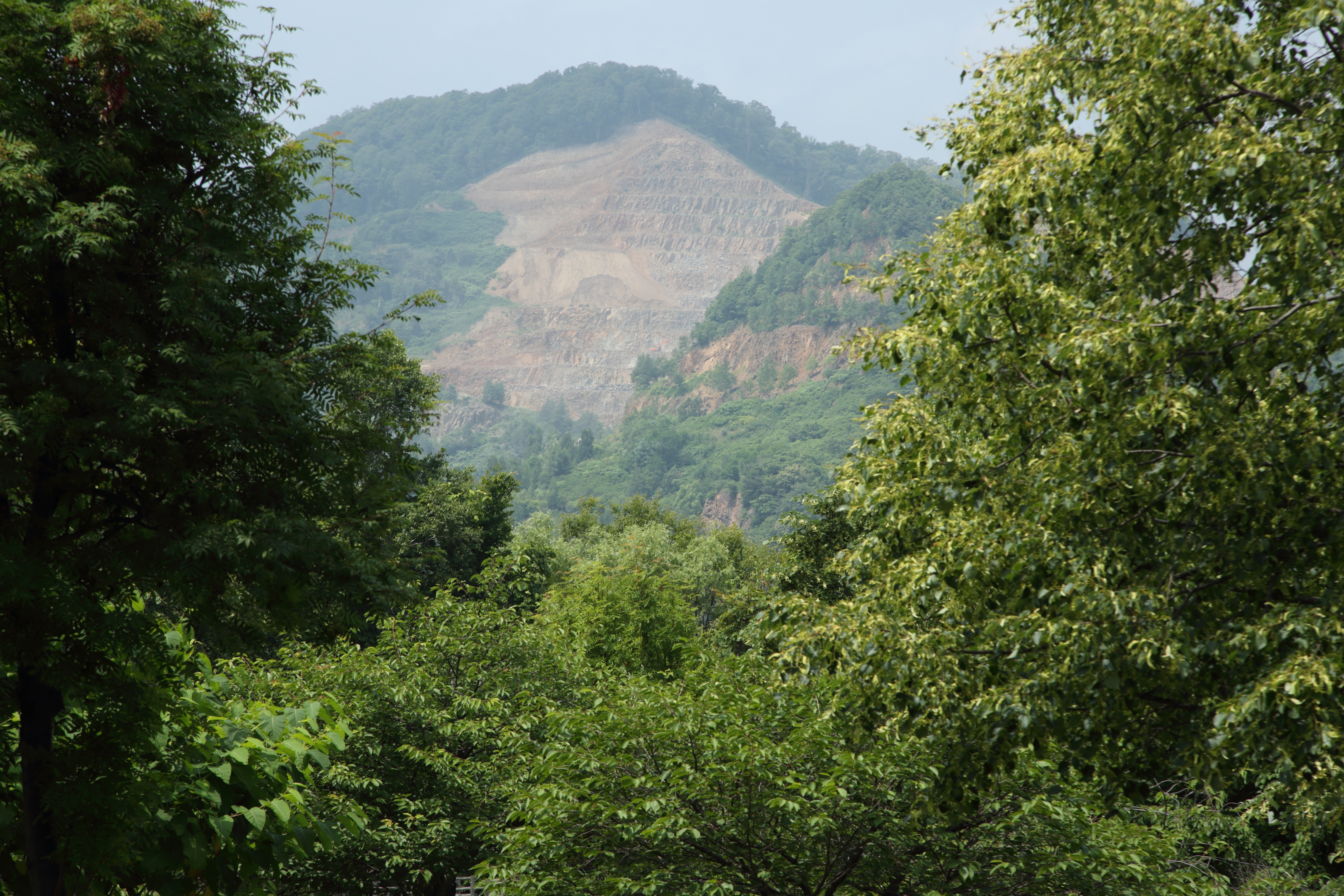 補正前の状態で現像したもの。