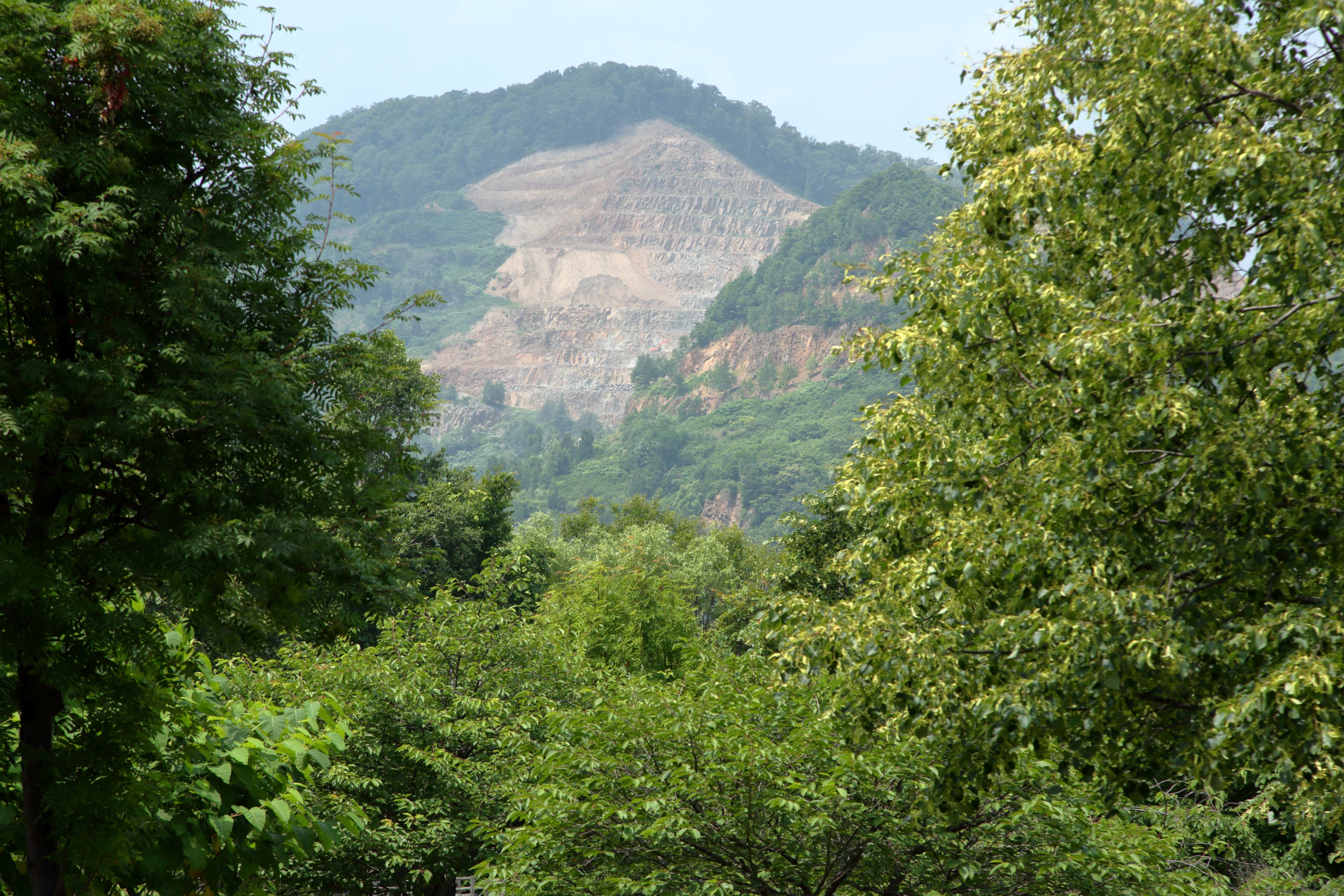 手動で微調整して現像したもの。